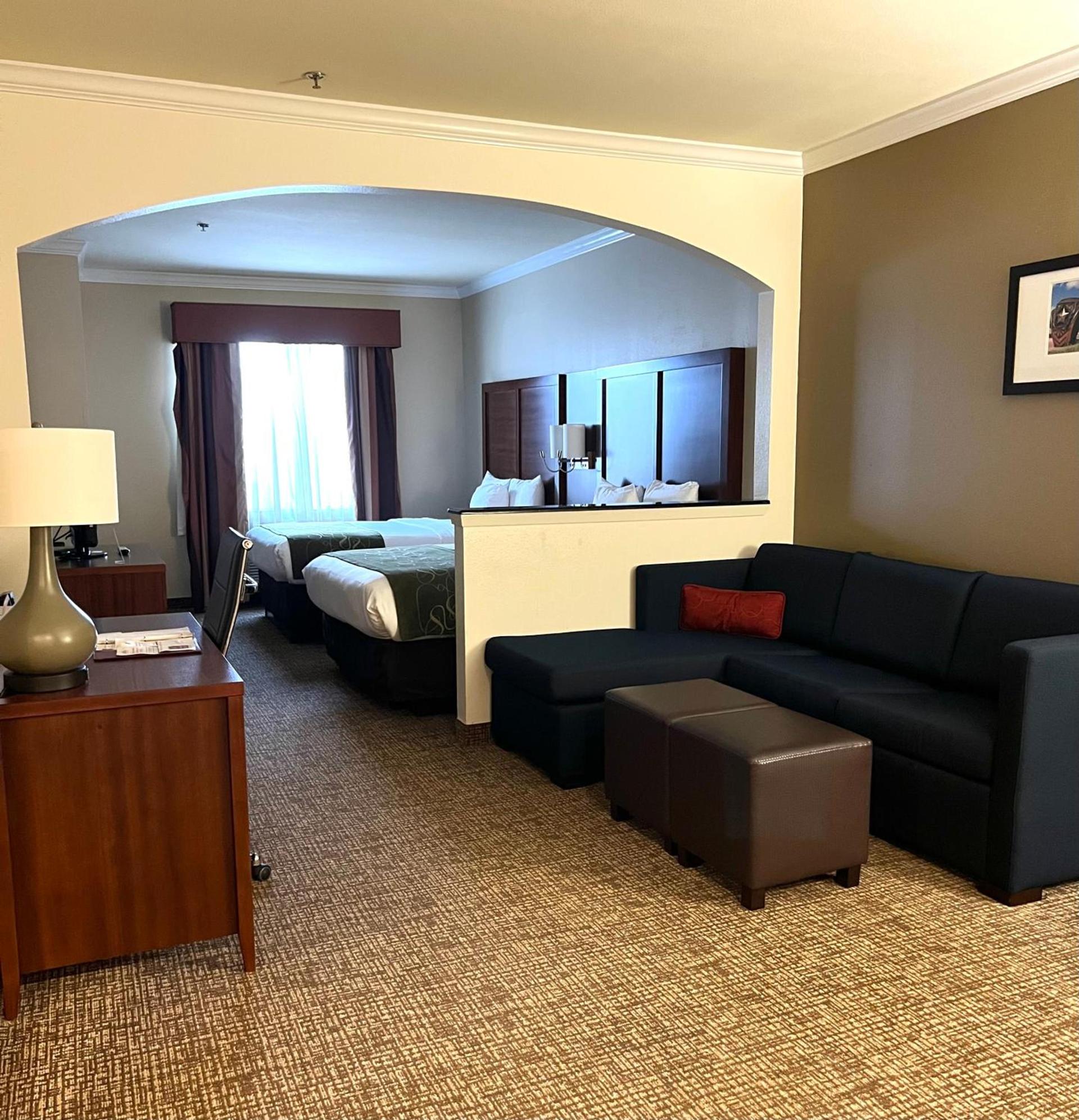 Comfort Suites Texas Ave photo 23