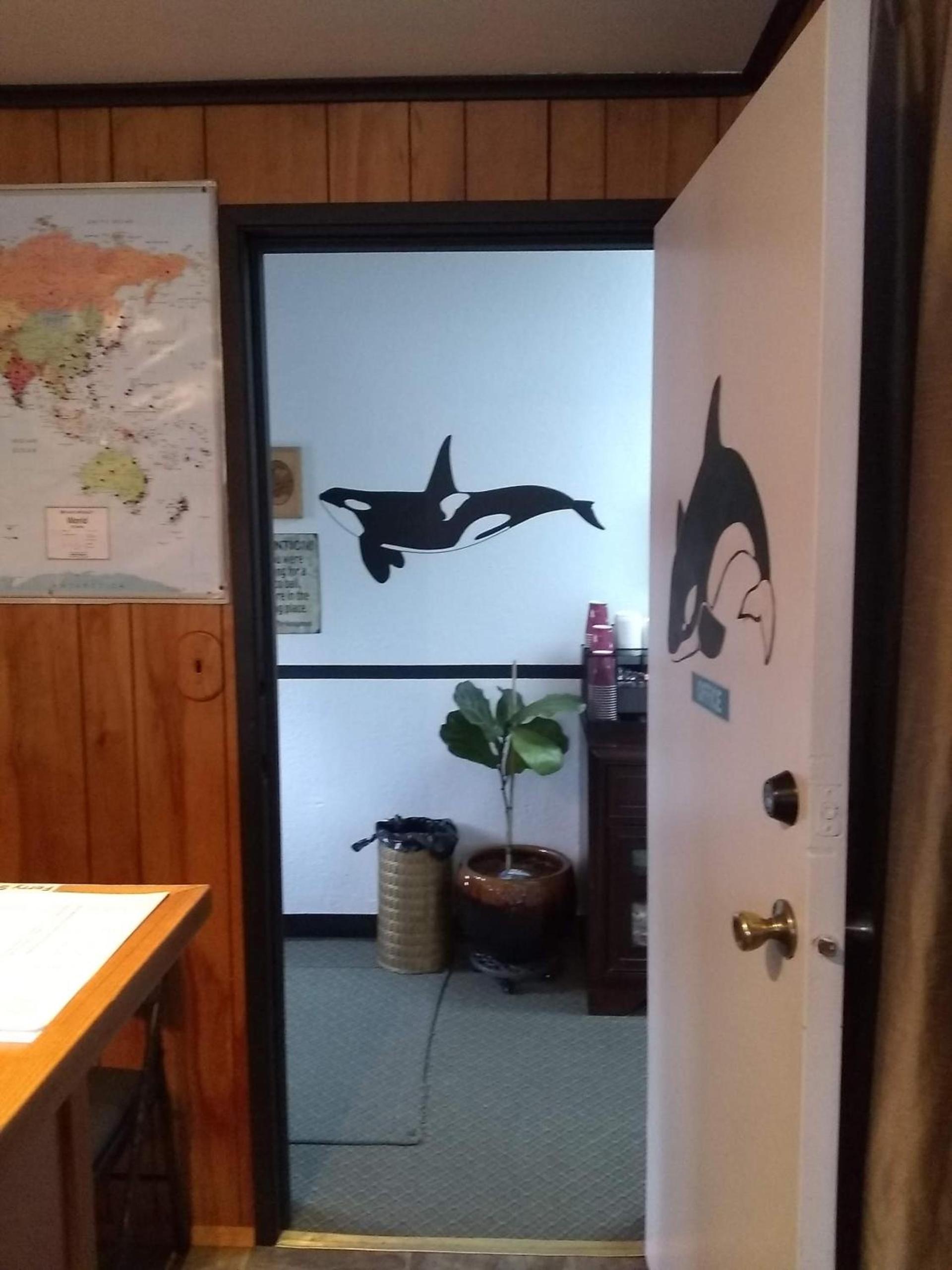 The Orca Inn photo 21
