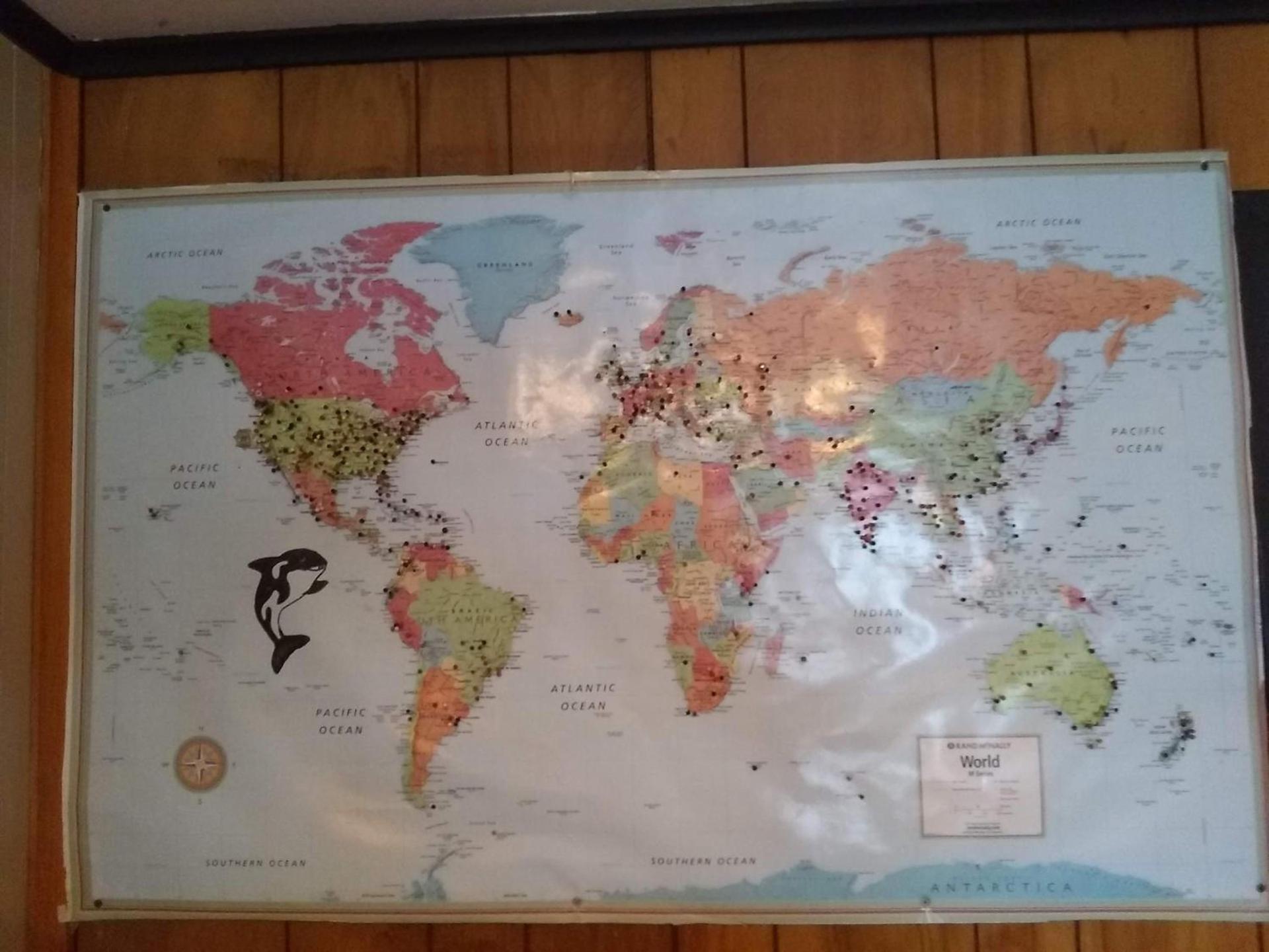 The Orca Inn photo 44