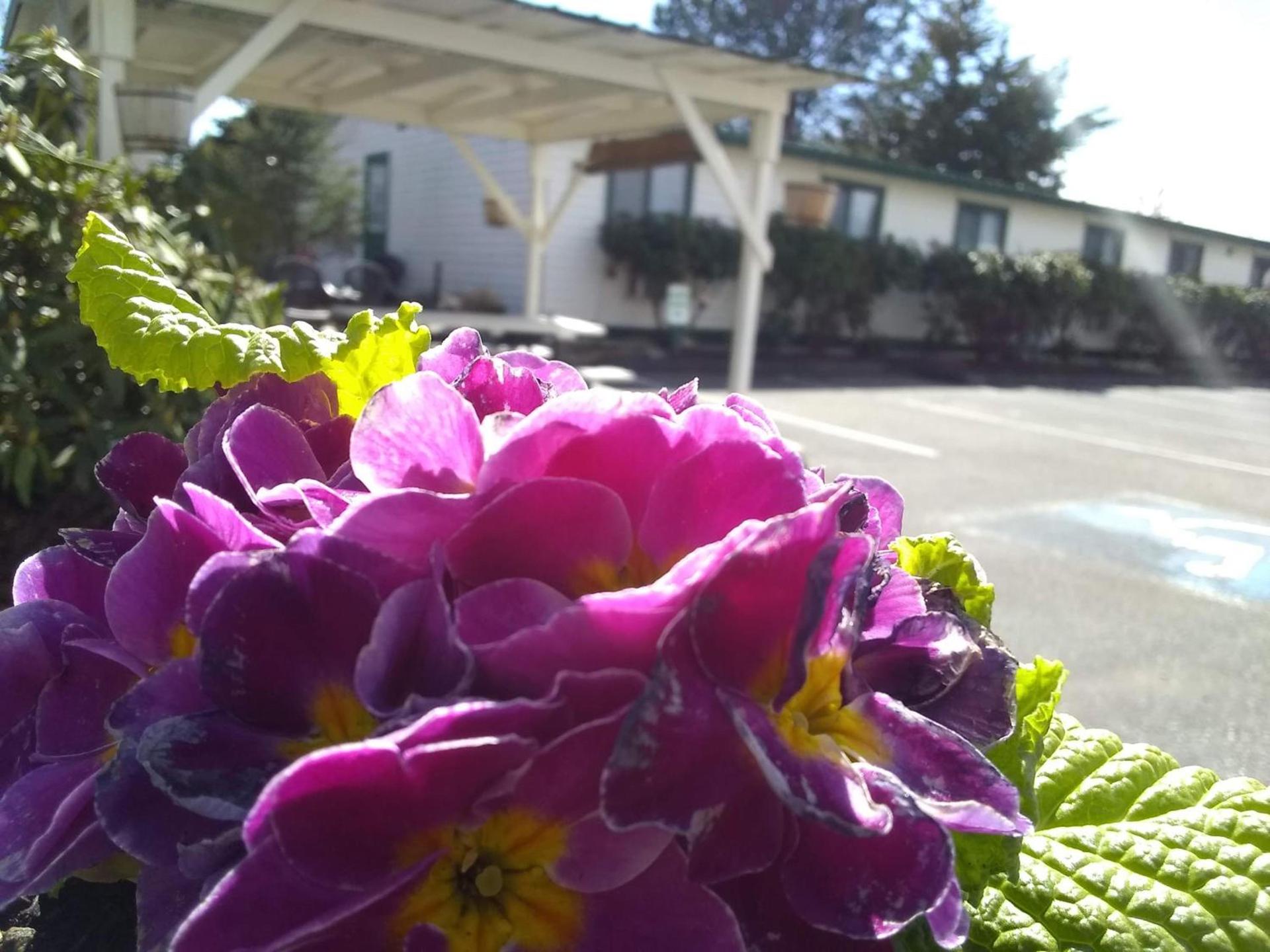 The Orca Inn photo 49