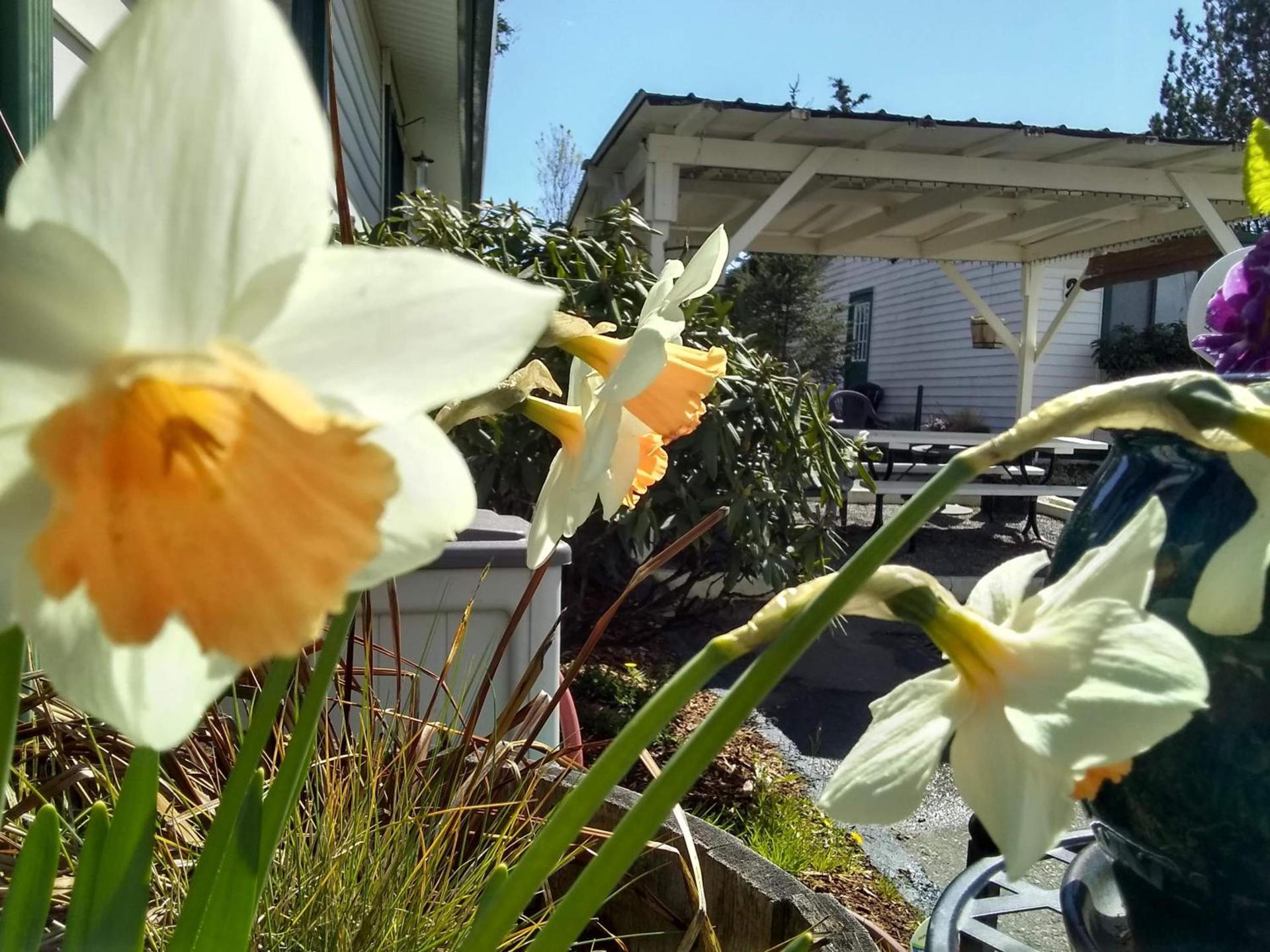 The Orca Inn photo 75