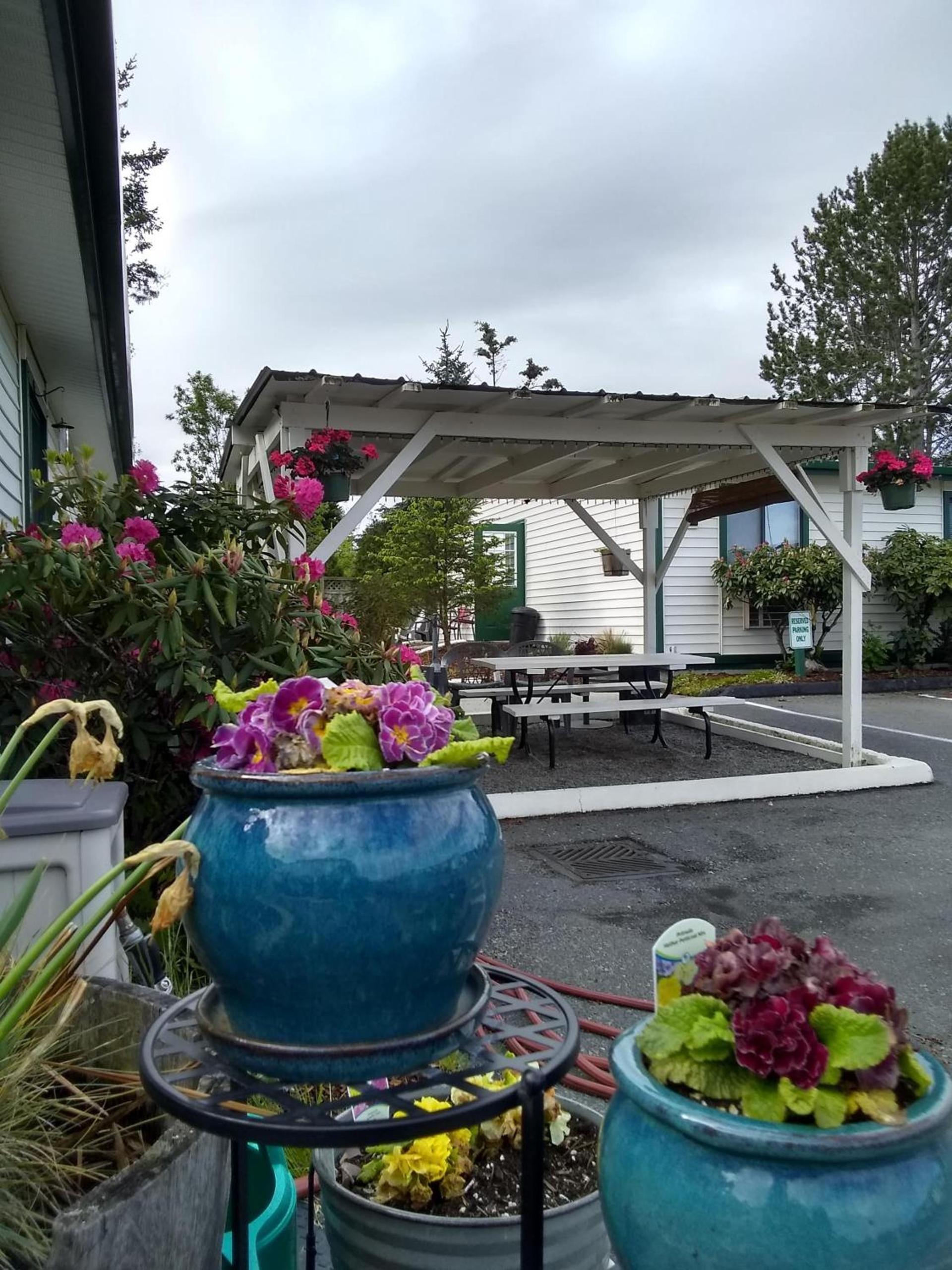 The Orca Inn photo 82