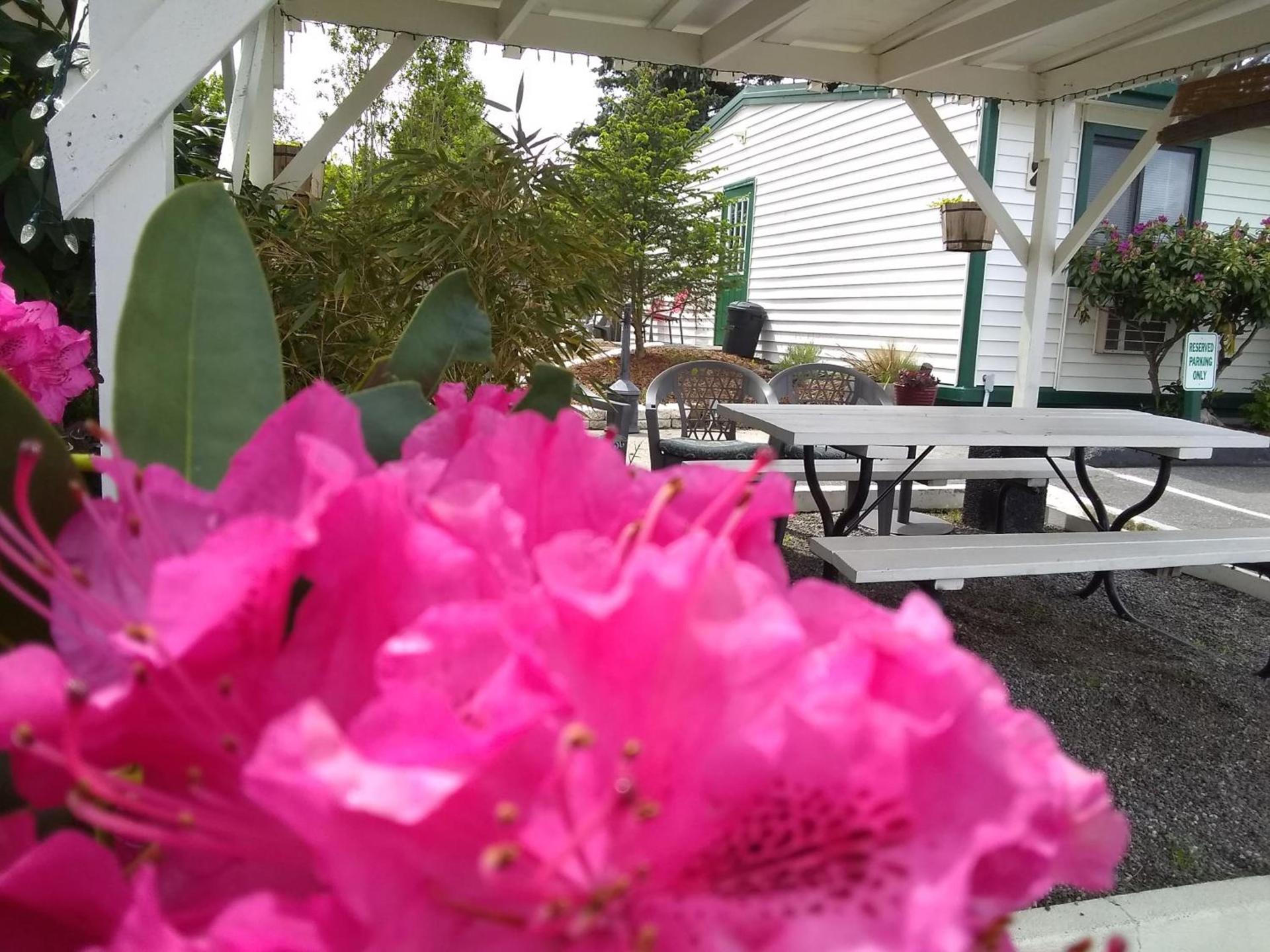 The Orca Inn photo 90
