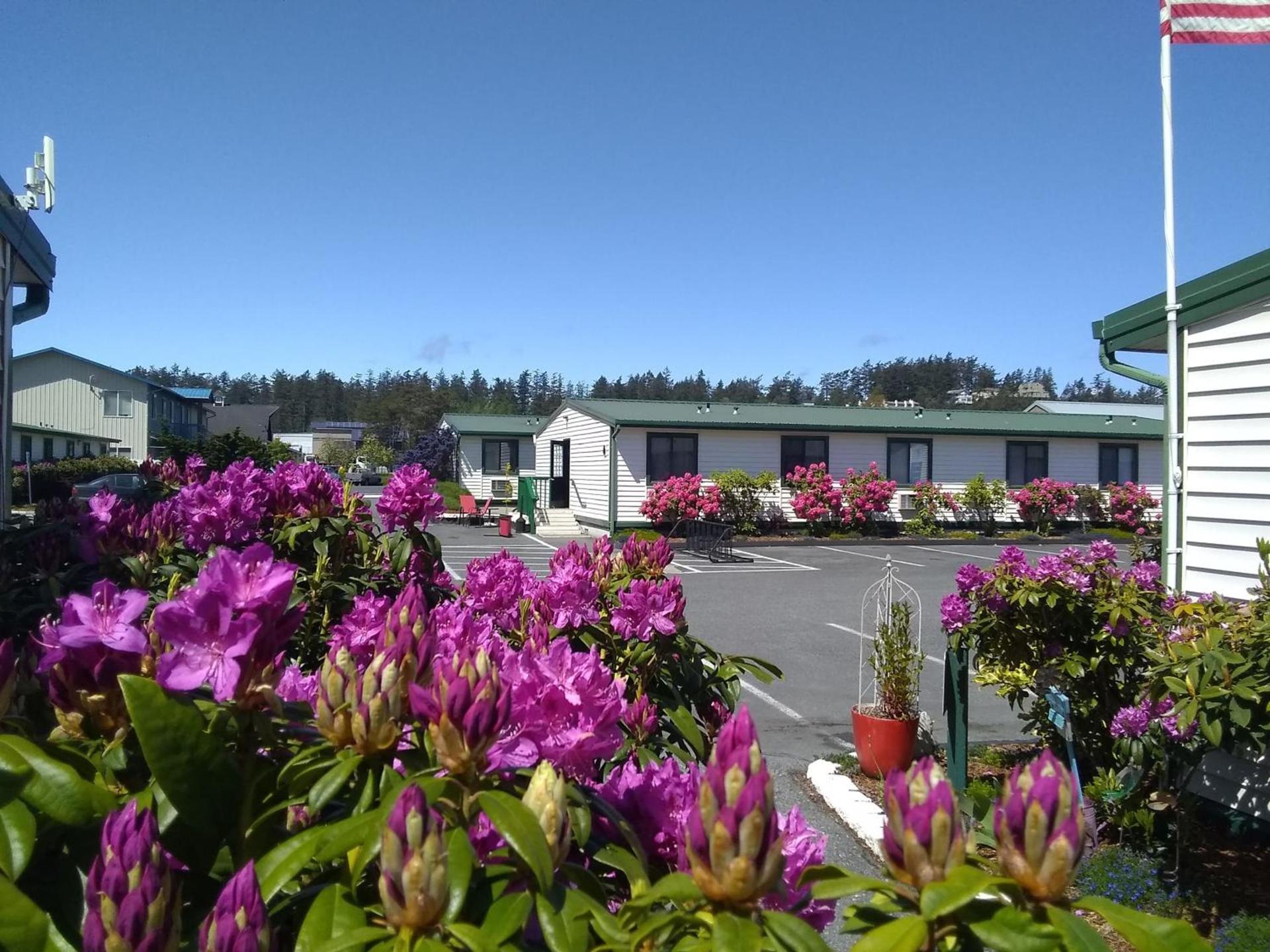 The Orca Inn photo 92