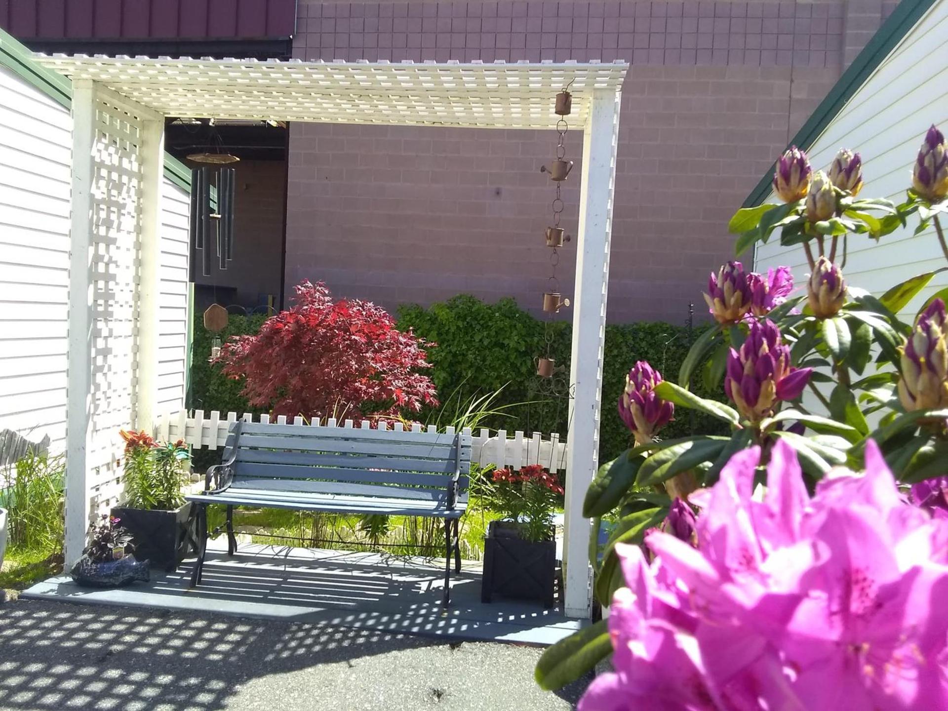 The Orca Inn photo 98