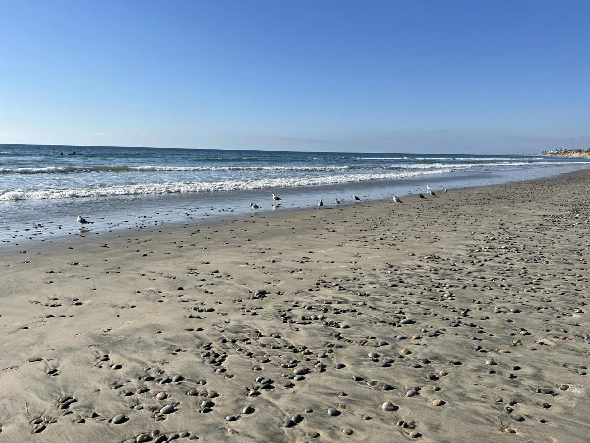 Holiday Inn Carlsbad/San Diego by IHG photo 71
