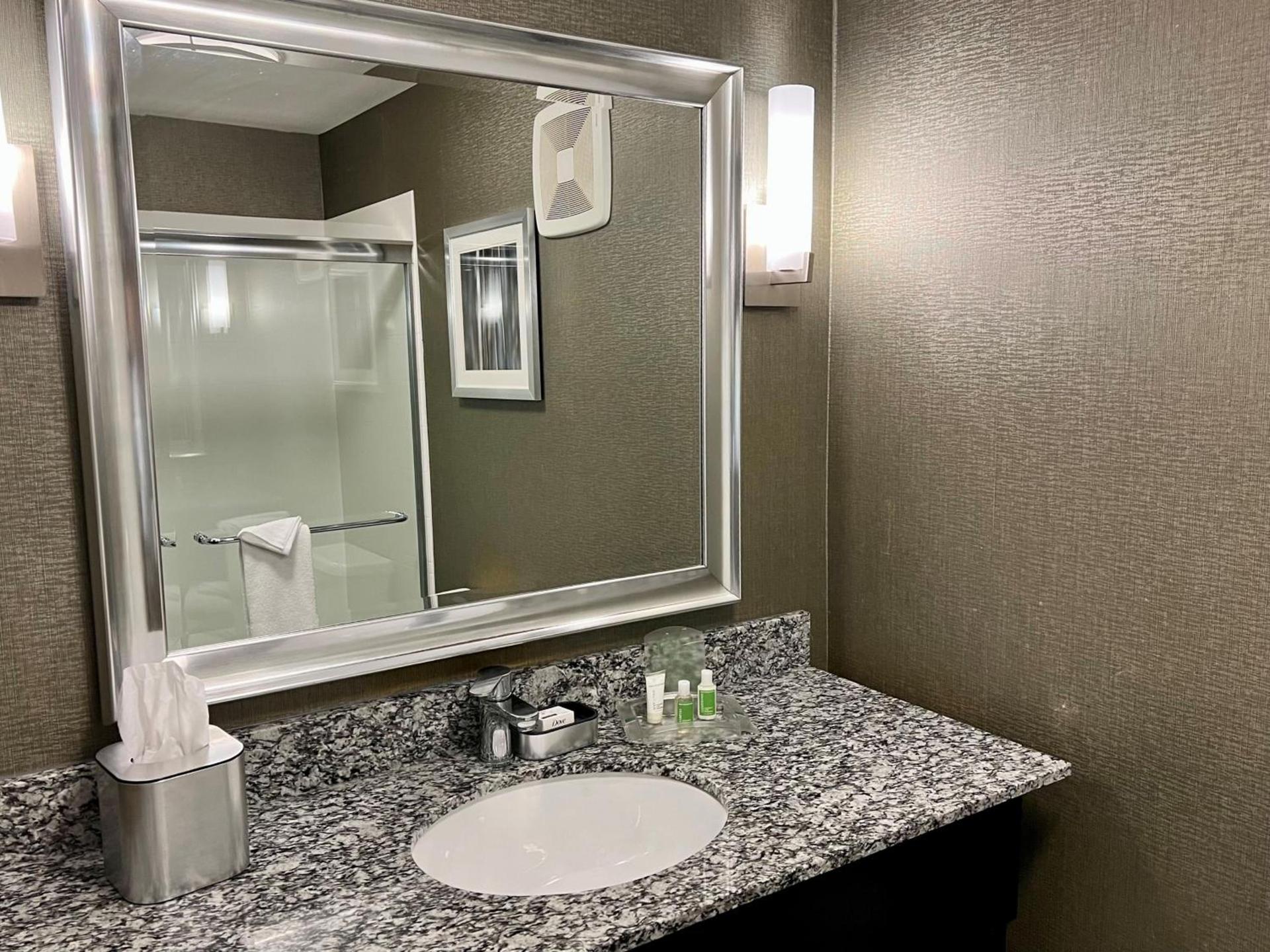 Holiday Inn Carlsbad/San Diego by IHG photo 45