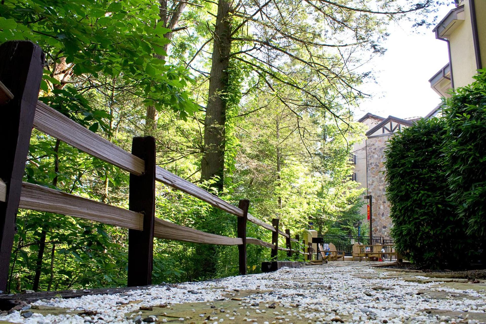 Gatlinburg Town Square photo 12