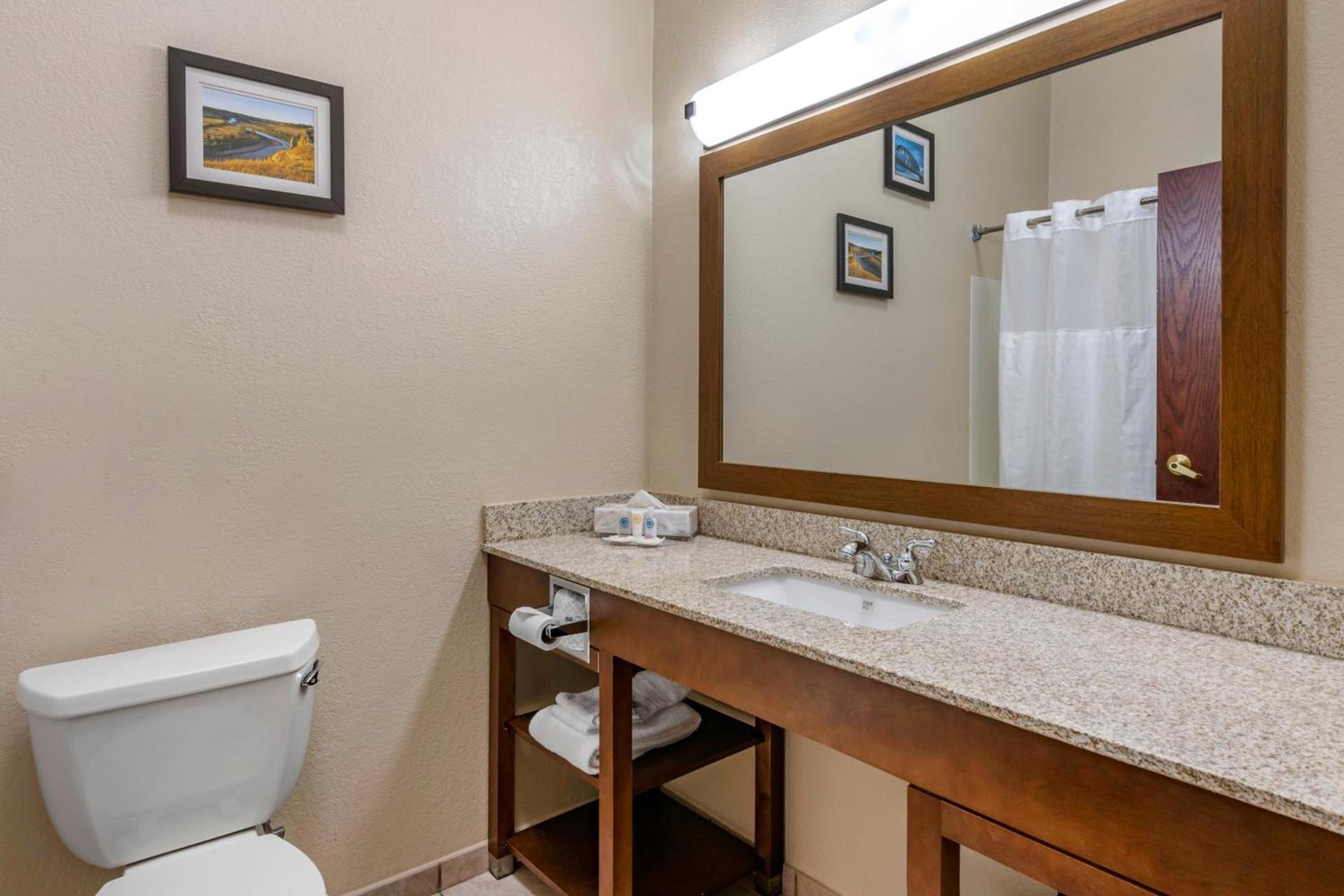 Comfort Inn & Suites St Louis-O'Fallon photo 57