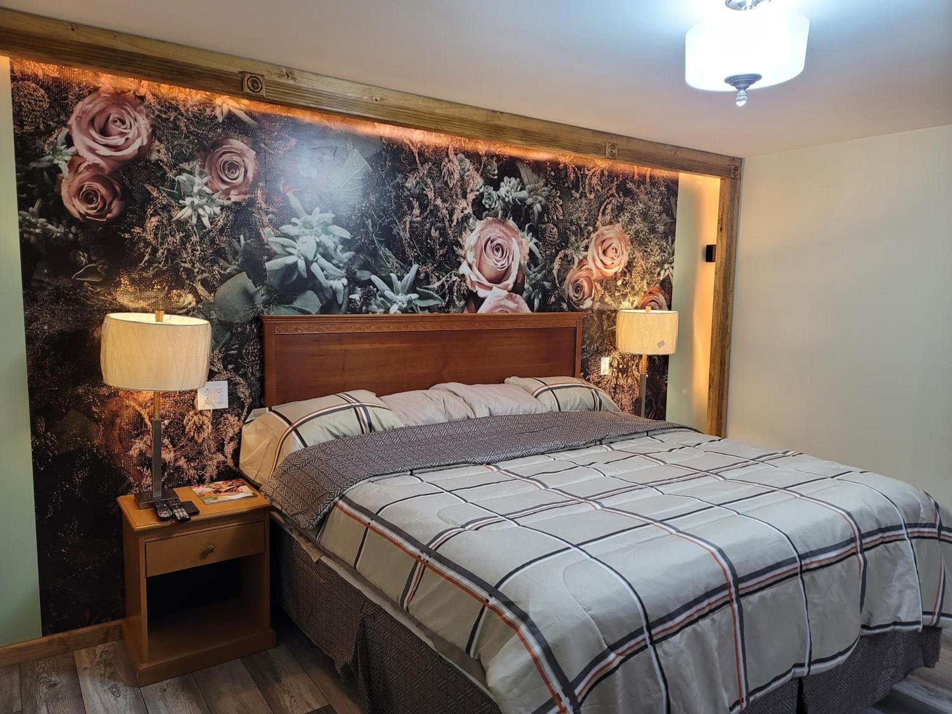 Stardust Motel photo 34
