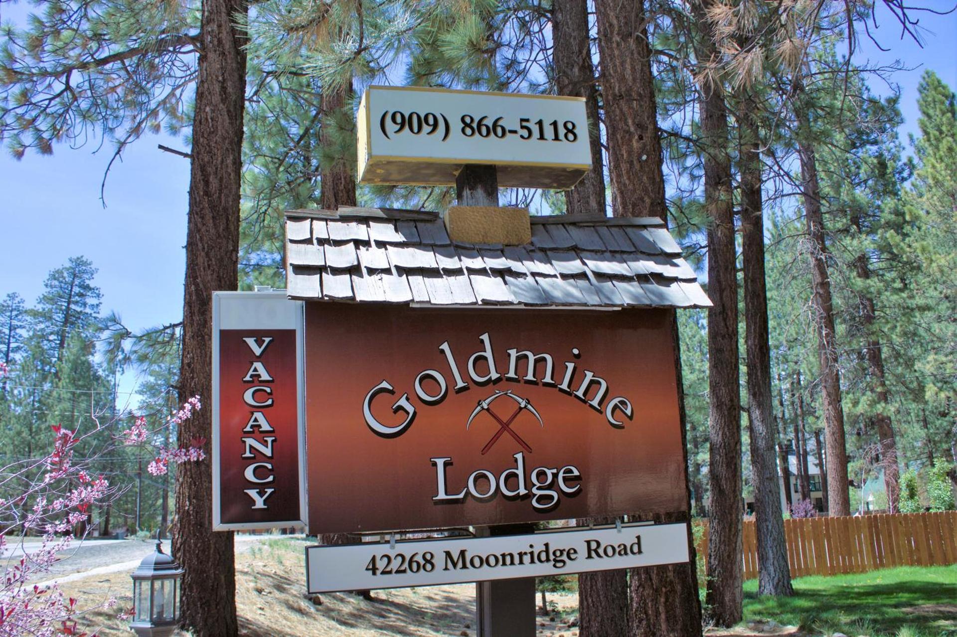 Goldmine Lodge photo 77