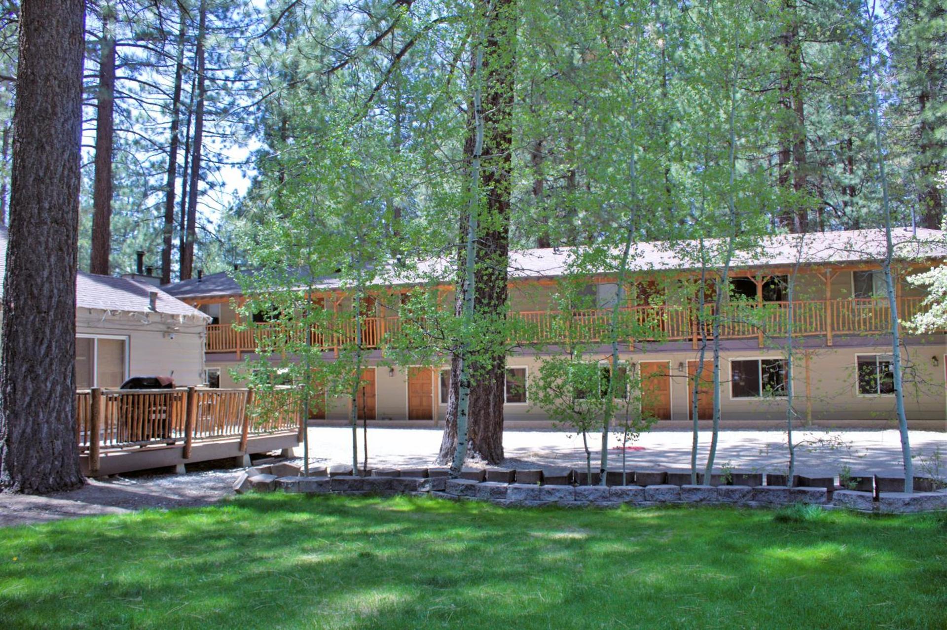 Goldmine Lodge photo 3