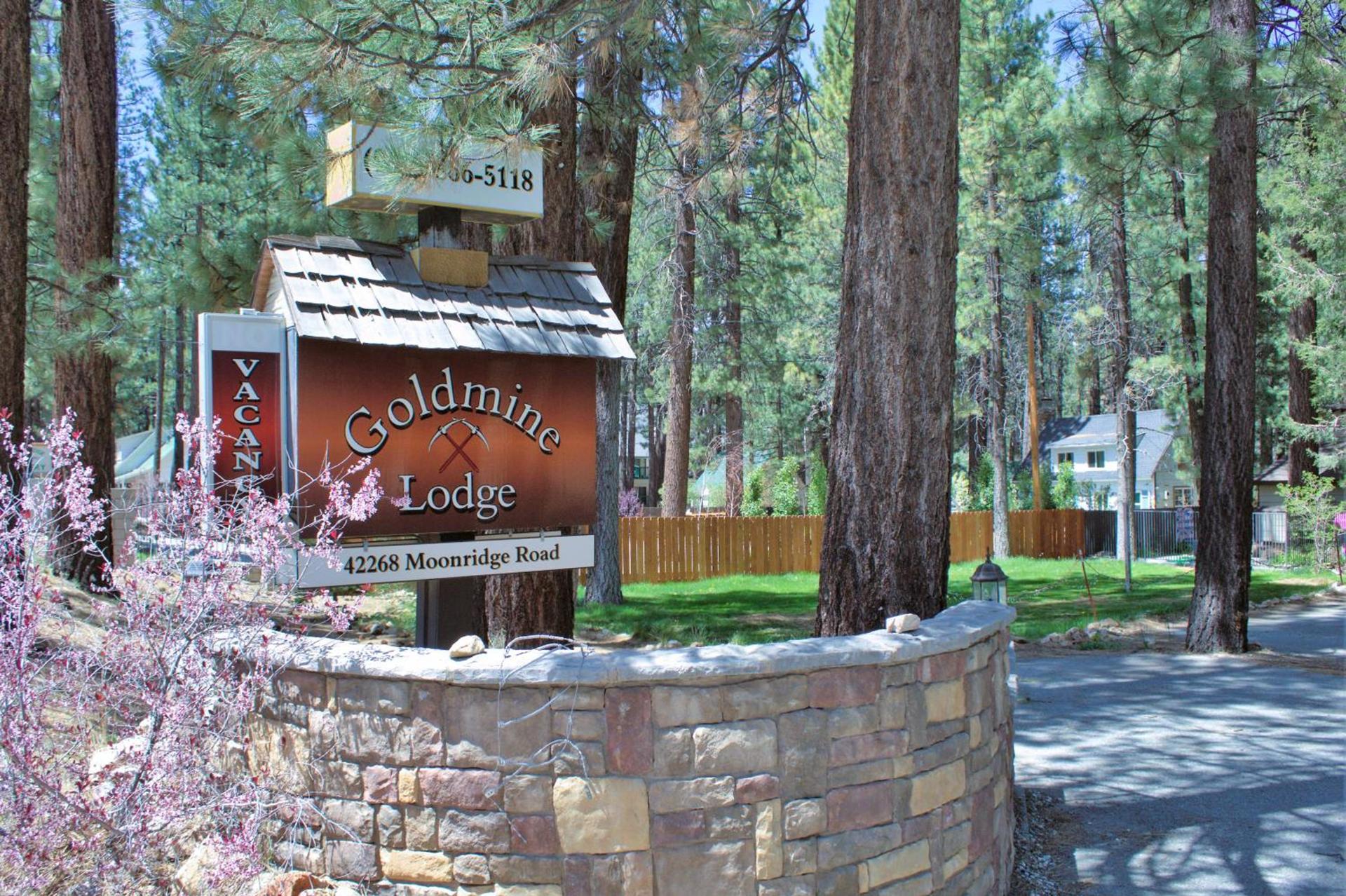 Goldmine Lodge photo 78