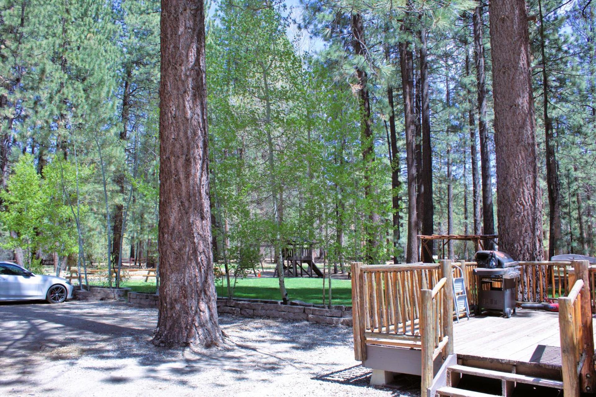 Goldmine Lodge photo 10
