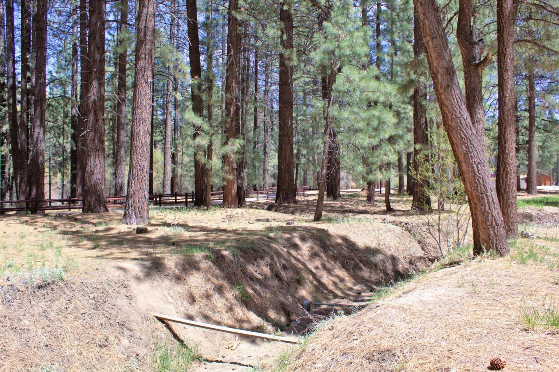 Goldmine Lodge photo 76