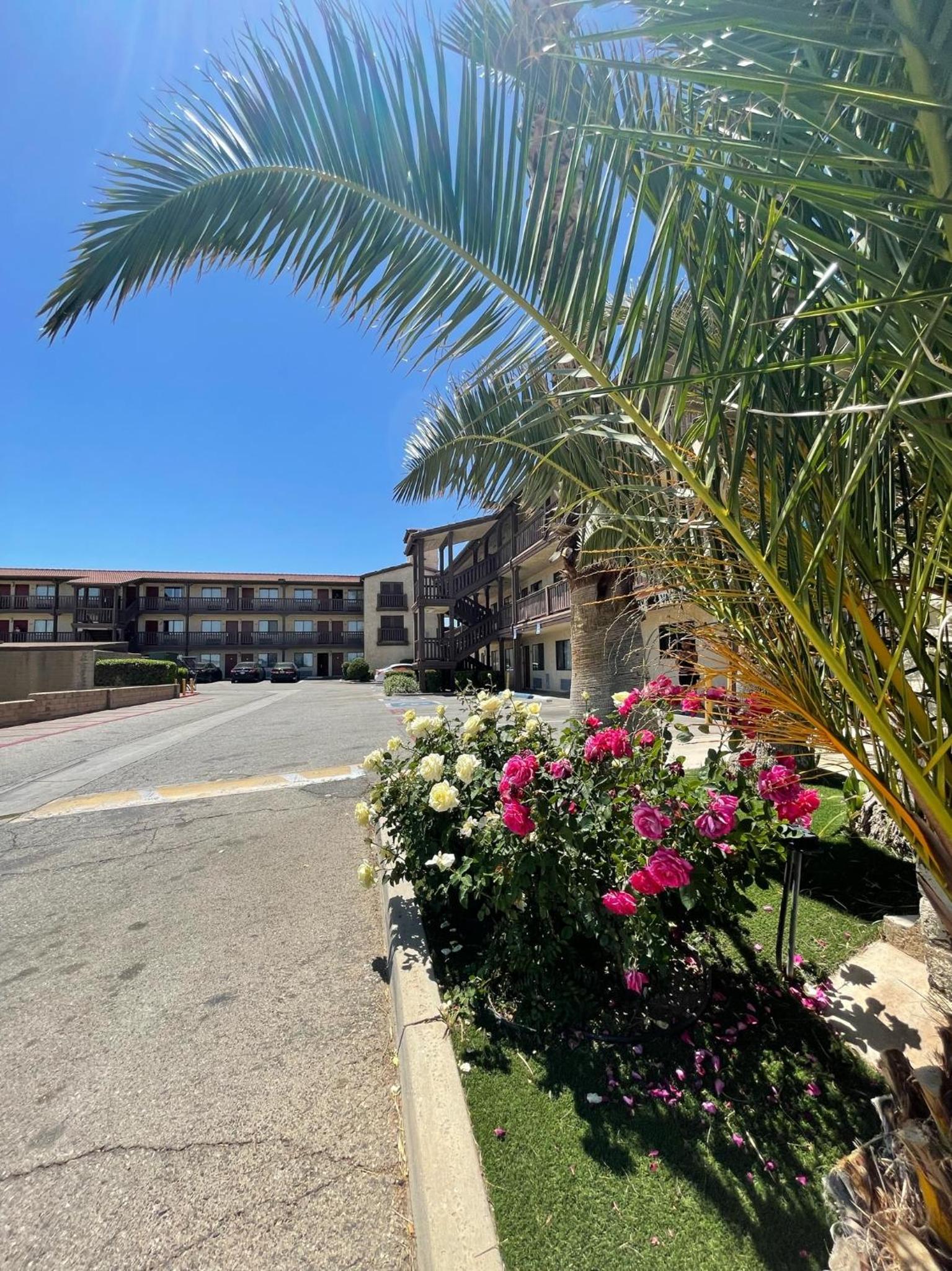 Palms Inn & Suites photo 16