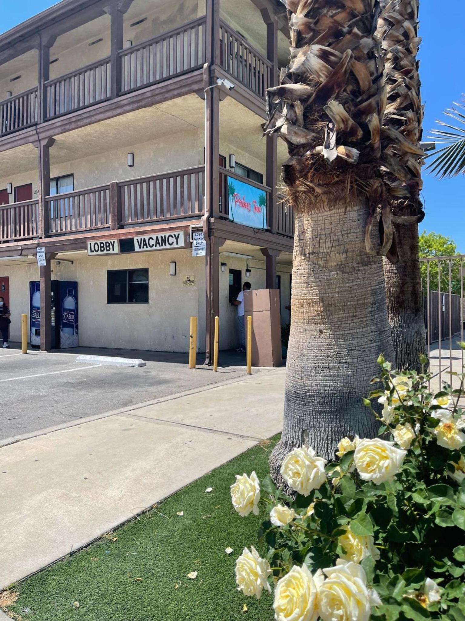 Palms Inn & Suites photo 10