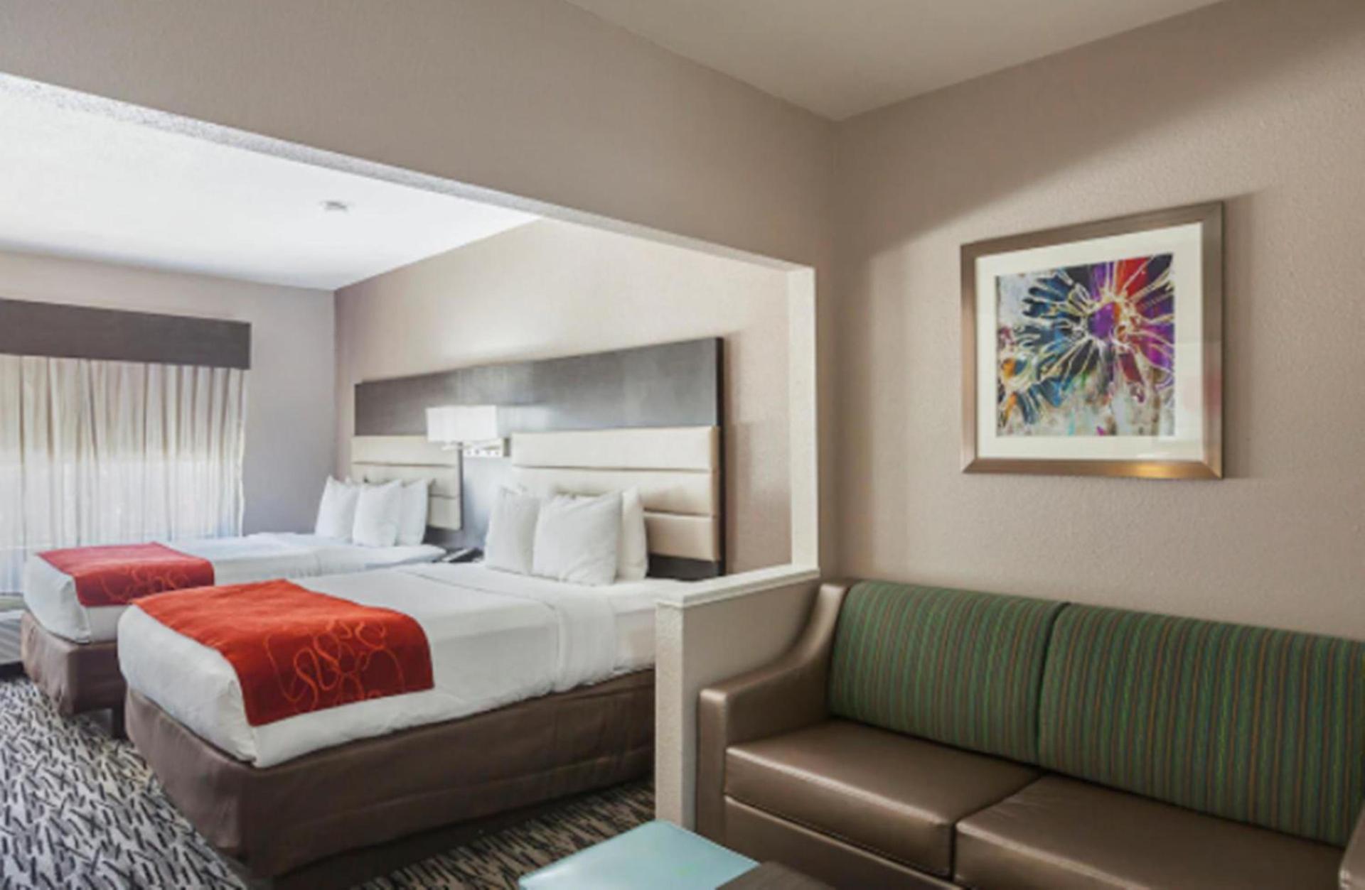 Comfort Suites Lewisville - Dallas photo 31