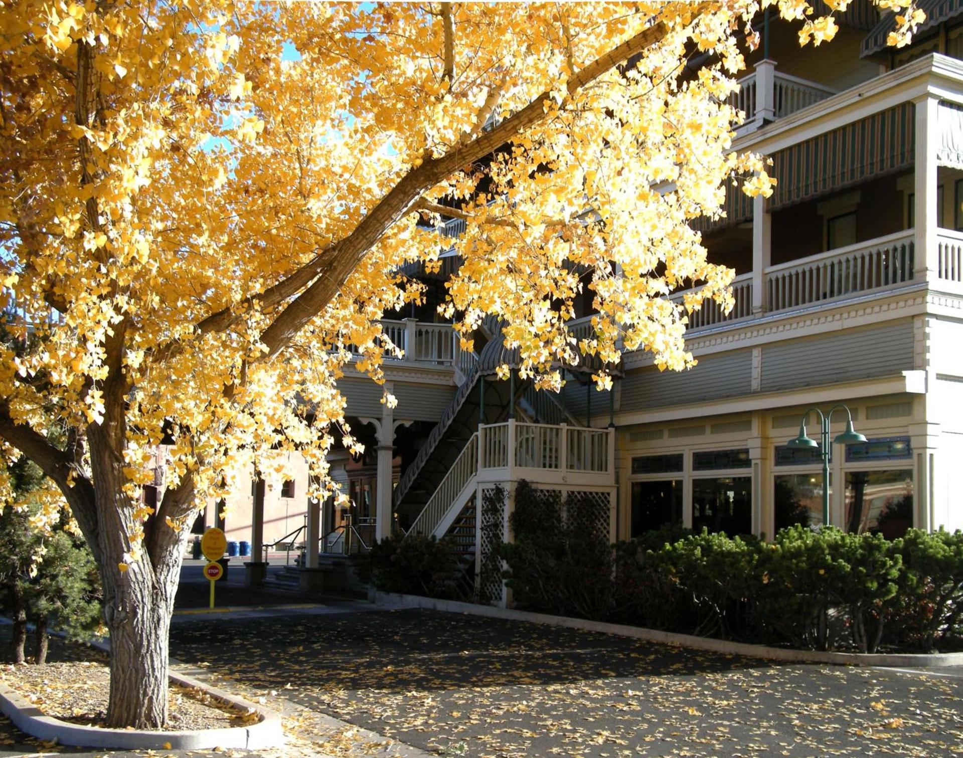 General Palmer Hotel photo 16