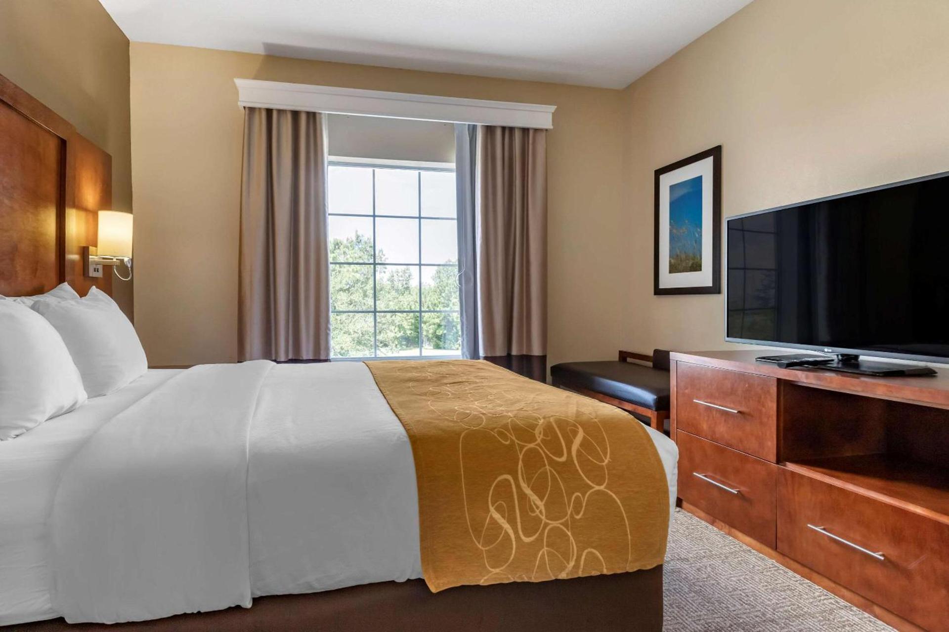 Comfort Suites Myrtle Beach Central photo 11