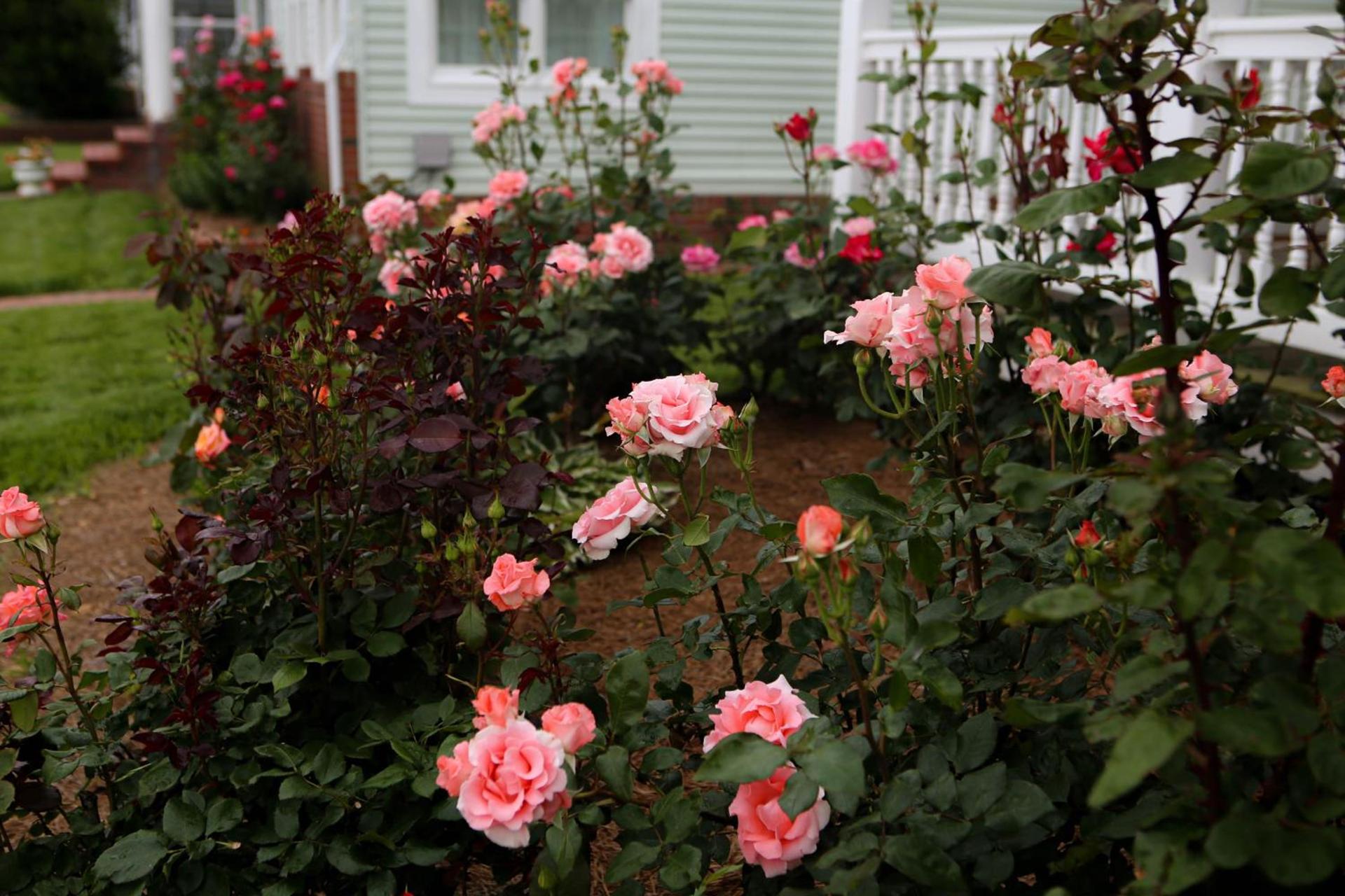 Waterside Inn photo 86