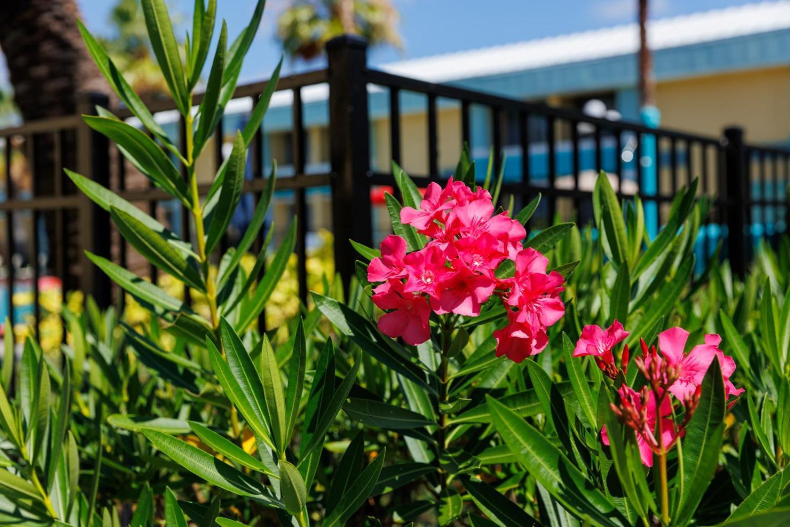 Garnet Inn & Suites, Orlando photo 48