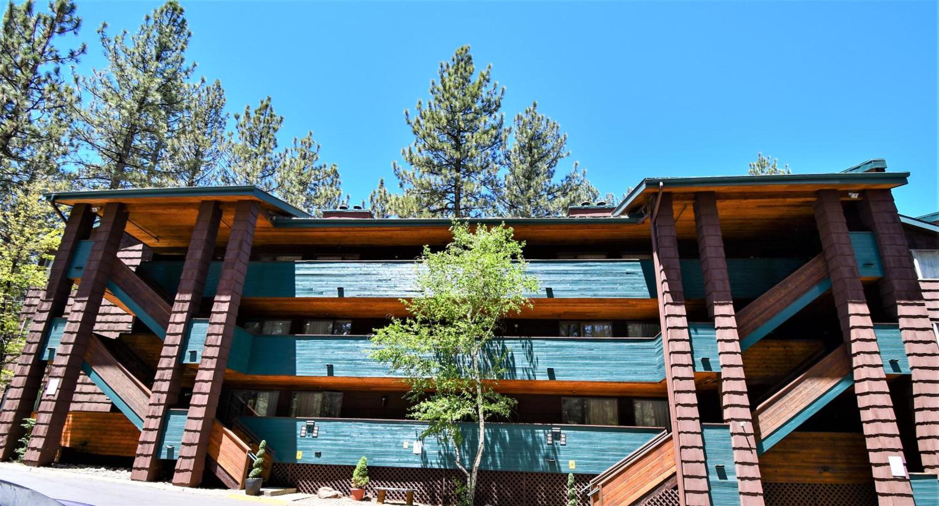 Snow Lake Lodge photo 60