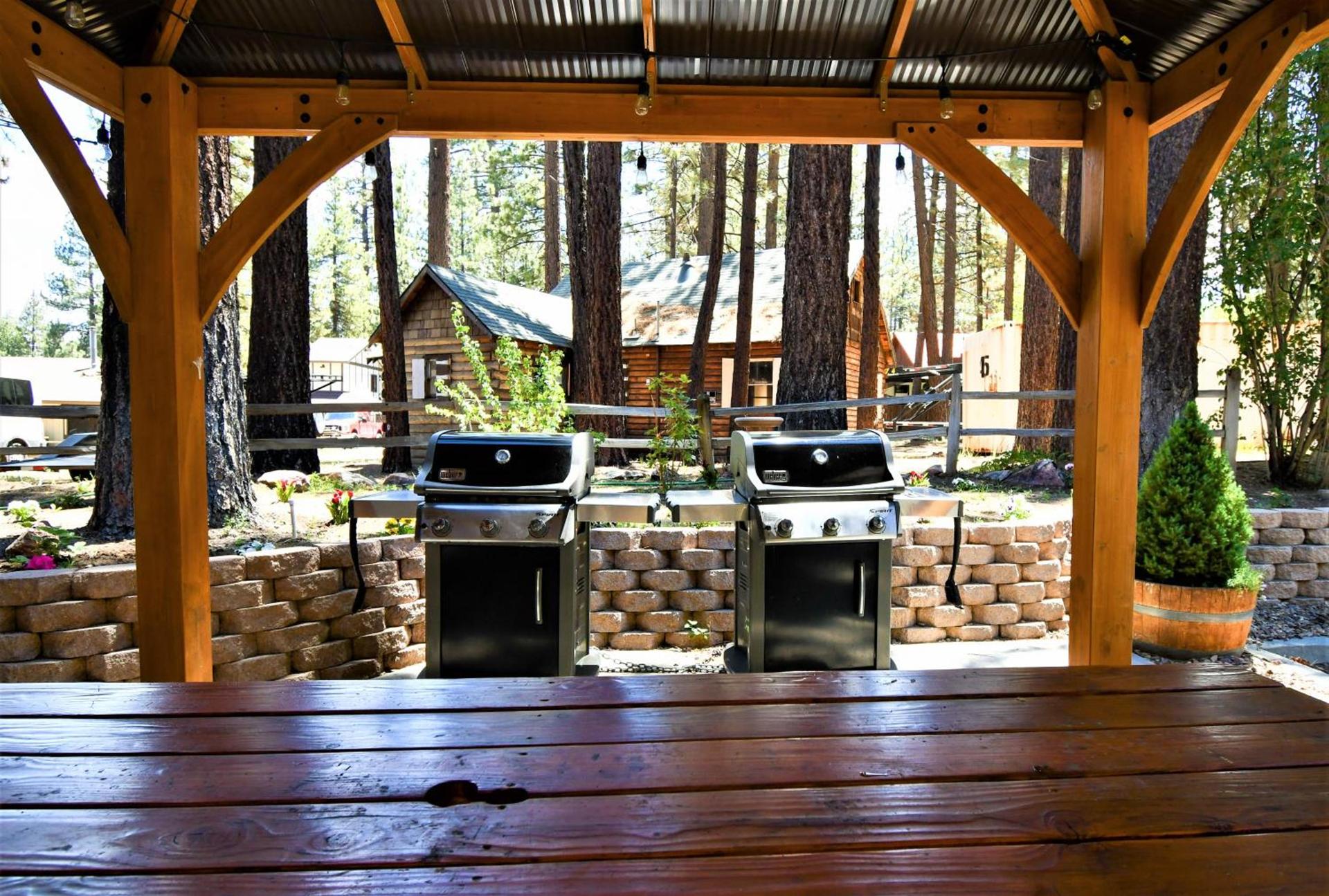 Snow Lake Lodge photo 66