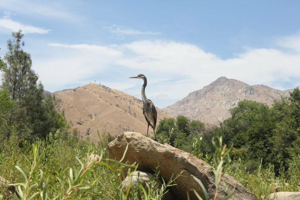 SoCal Camping photo 14