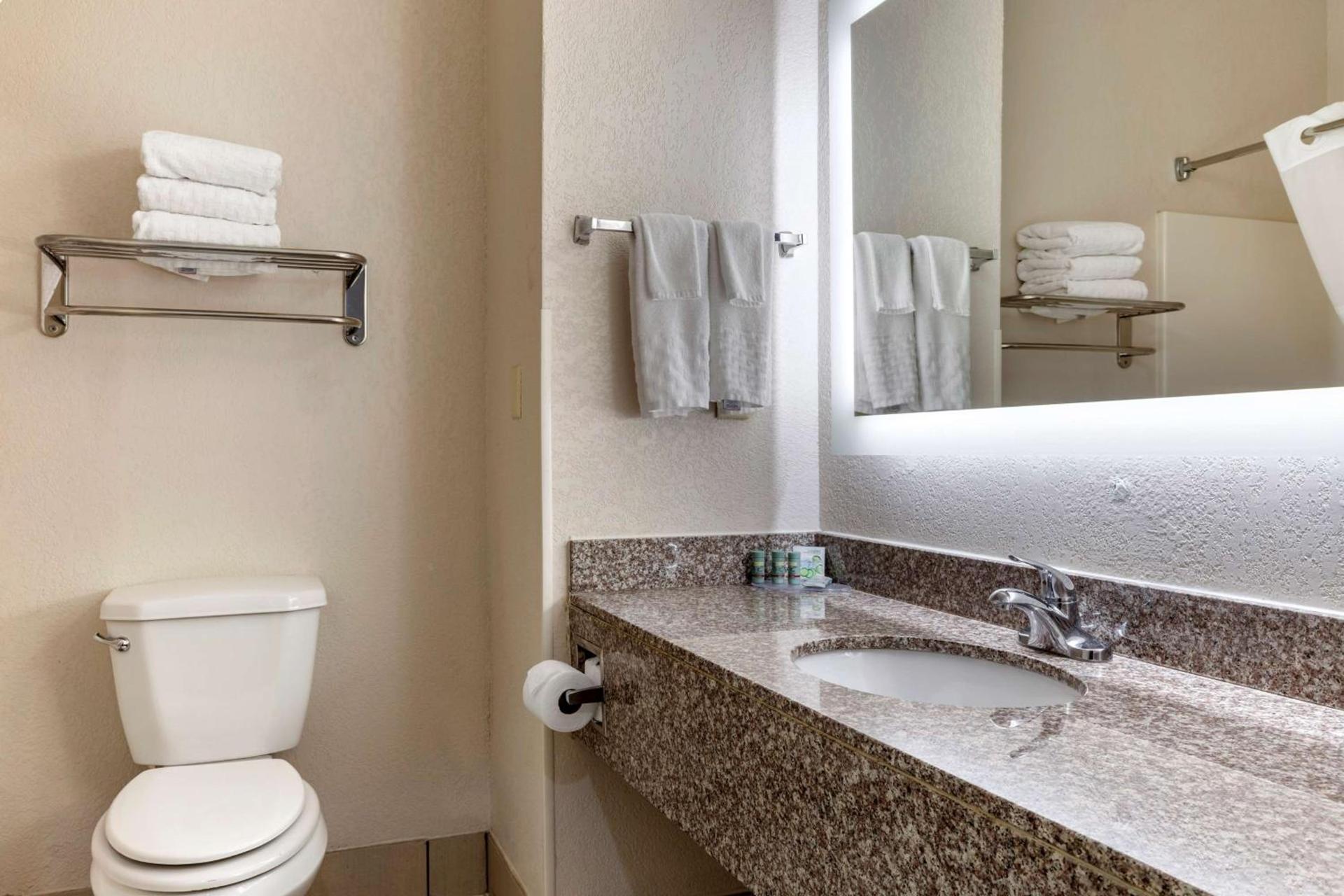 Best Western Palo Duro Canyon Inn & Suites photo 8