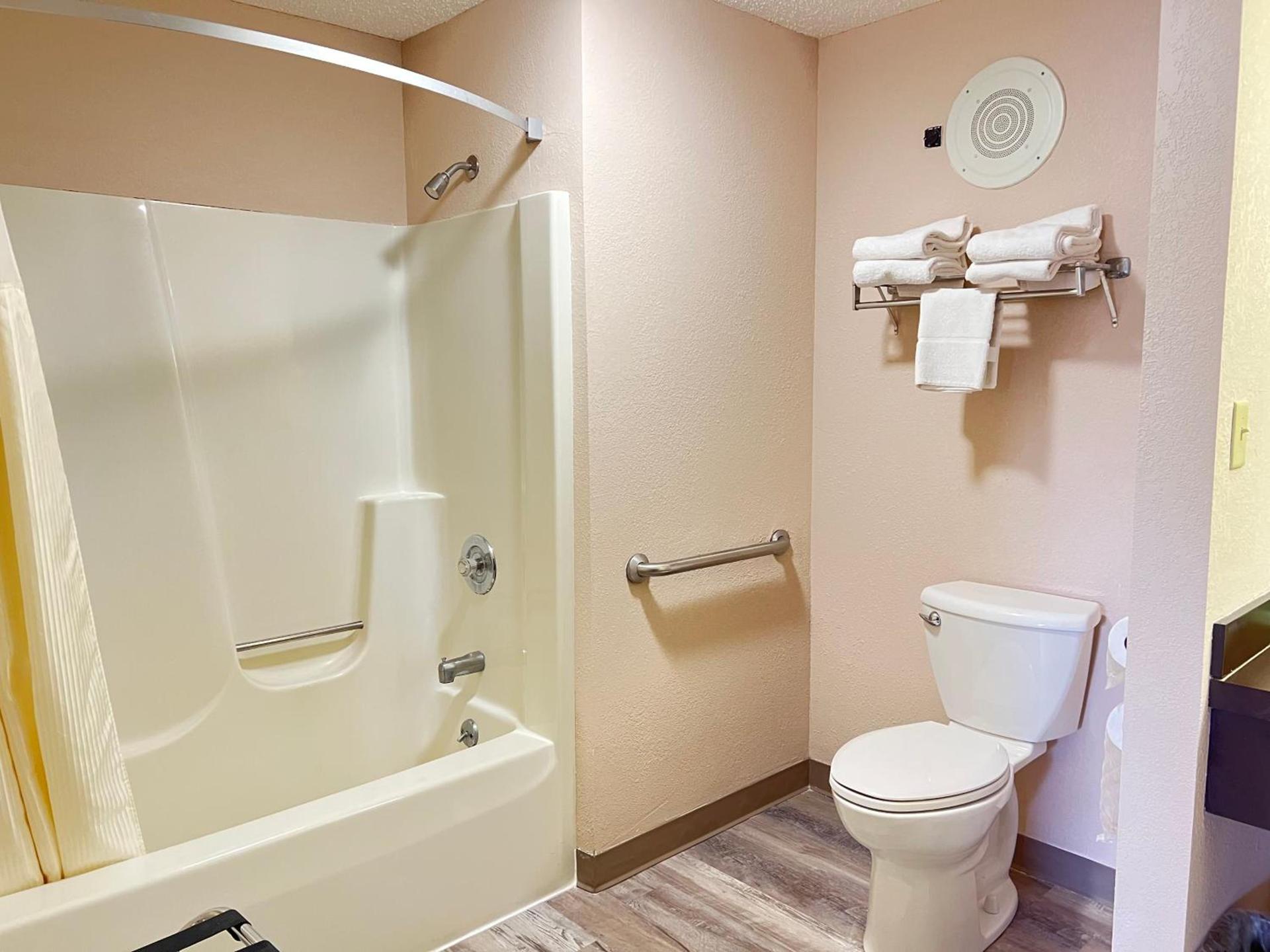 Viking Arms Inn - Ludington photo 33