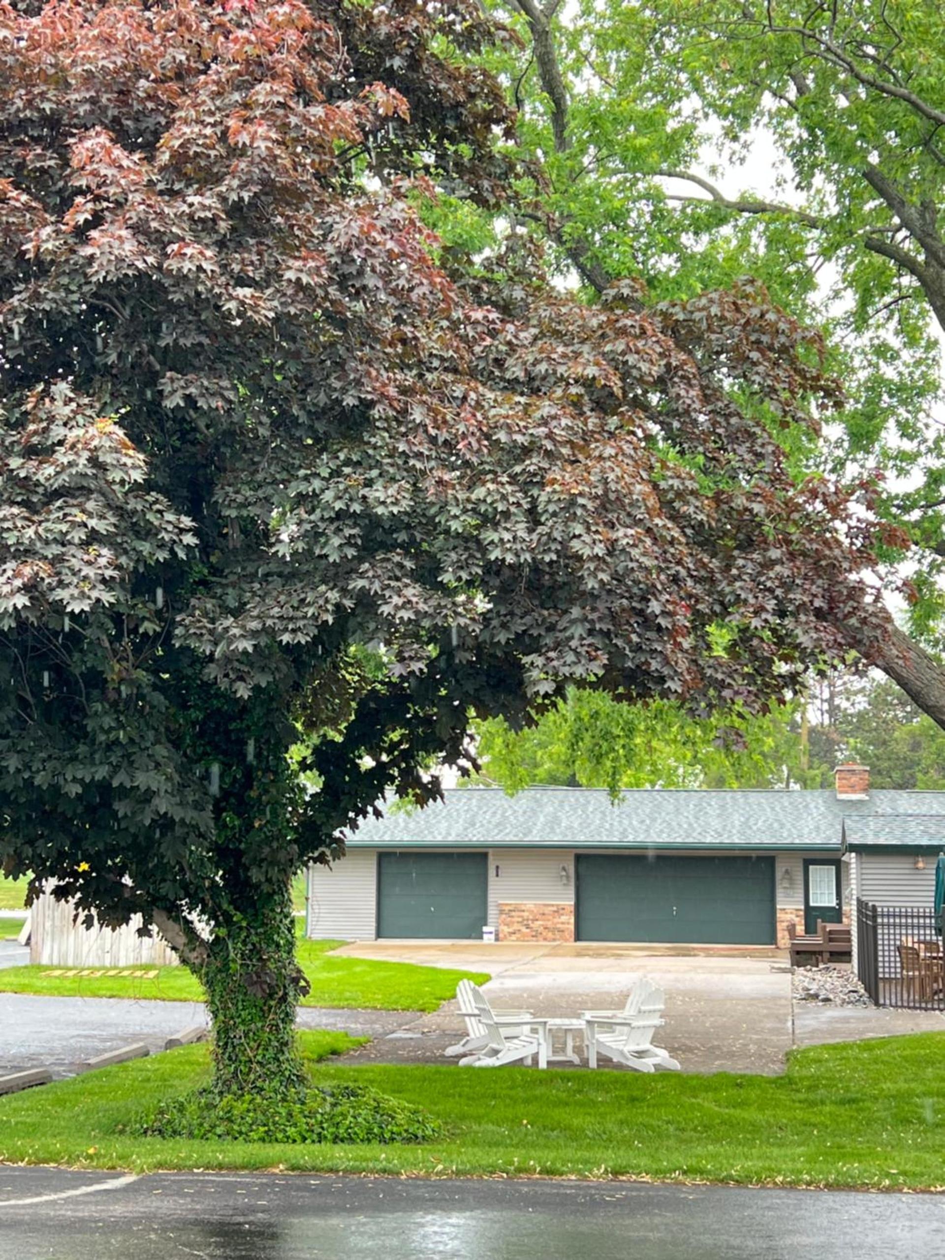 Viking Arms Inn - Ludington photo 18