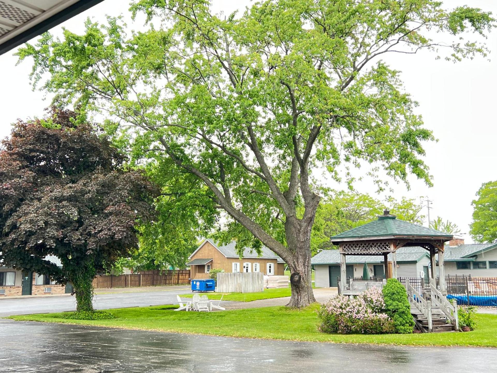 Viking Arms Inn - Ludington photo 17