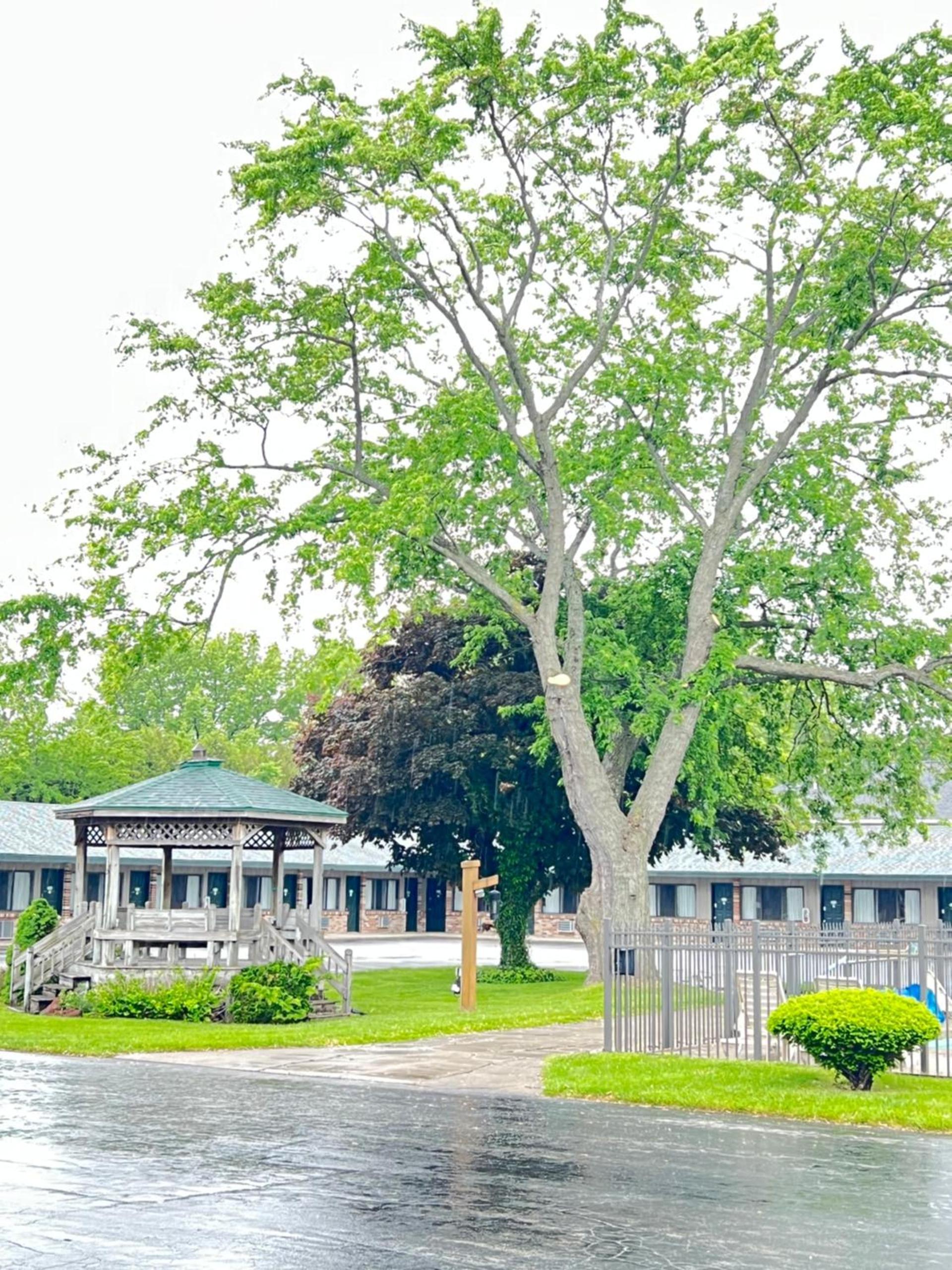 Viking Arms Inn - Ludington photo 16