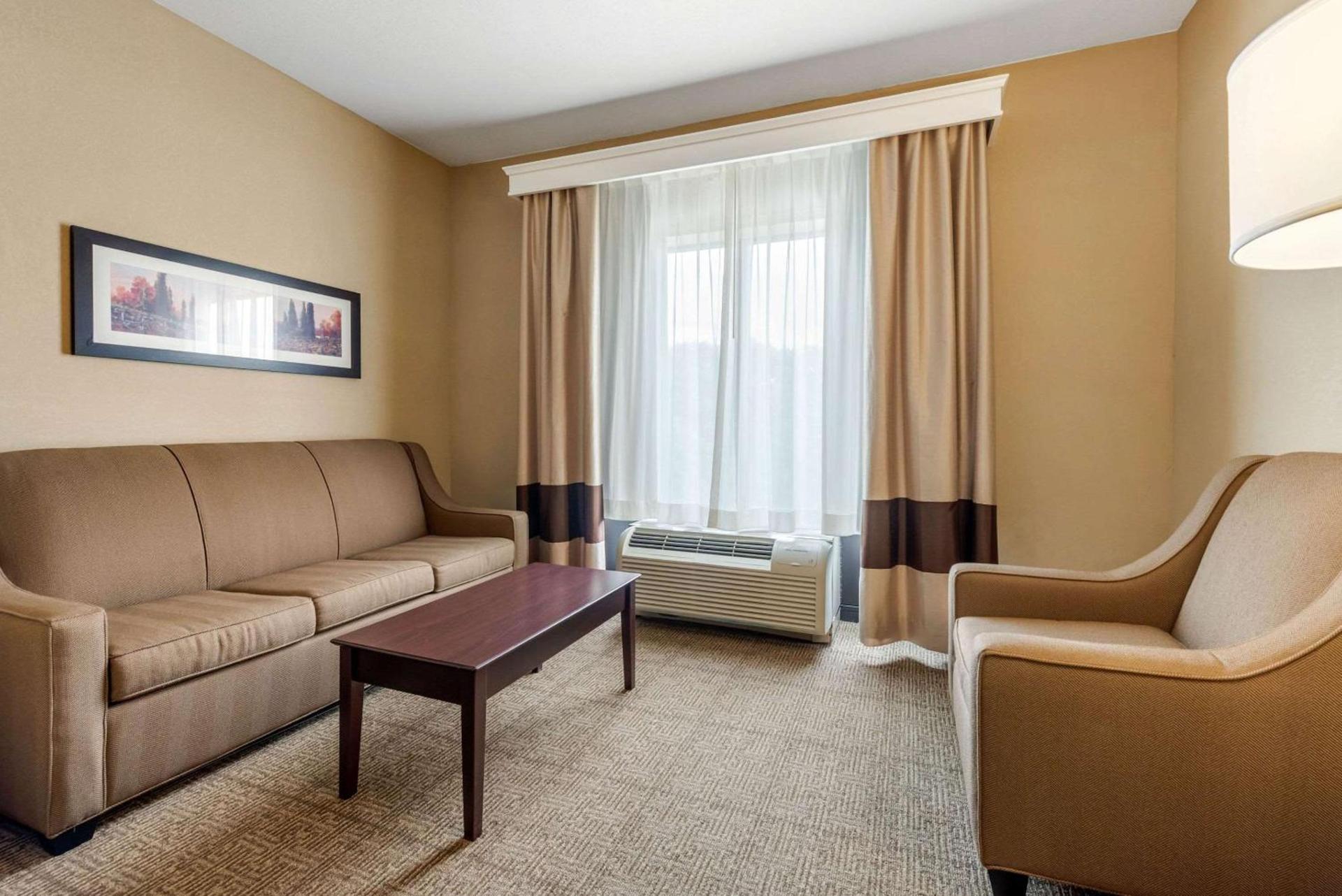 Comfort Suites near Route 66 photo 19