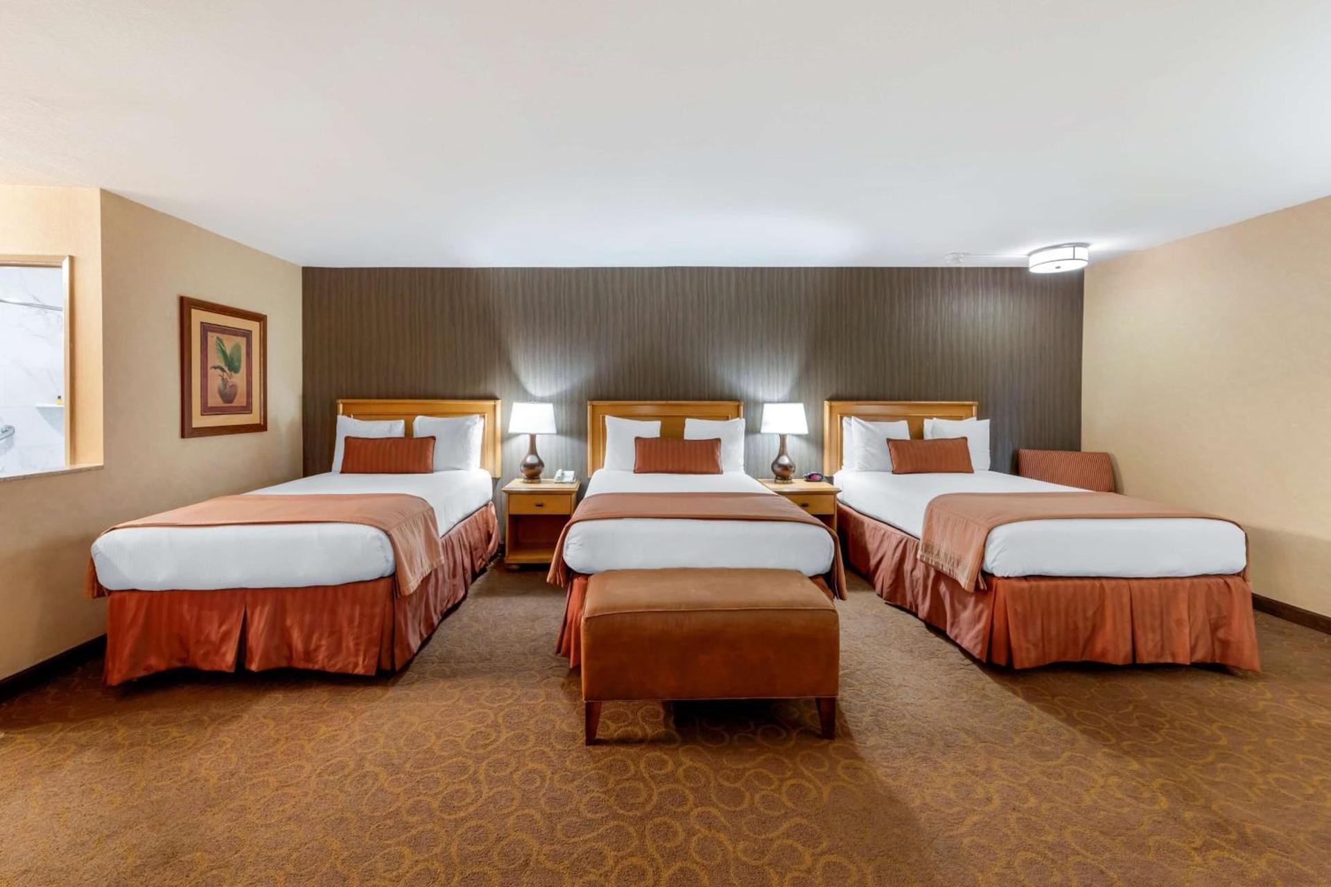 Best Western Plus Pavilions photo 5
