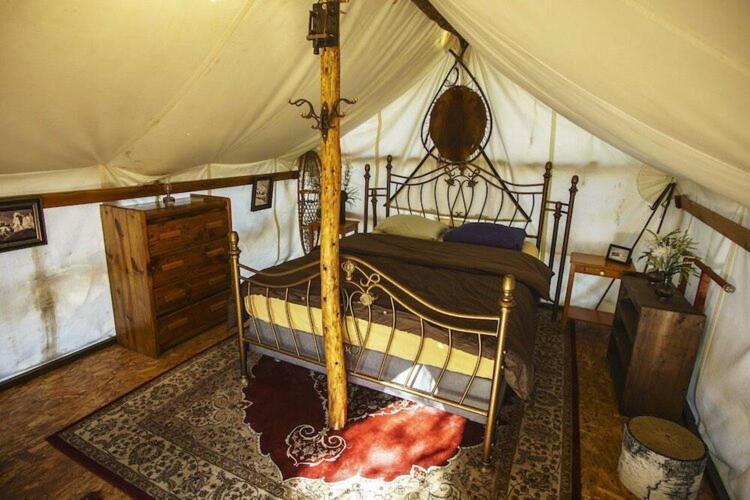 Sven's Basecamp Hostel photo 73