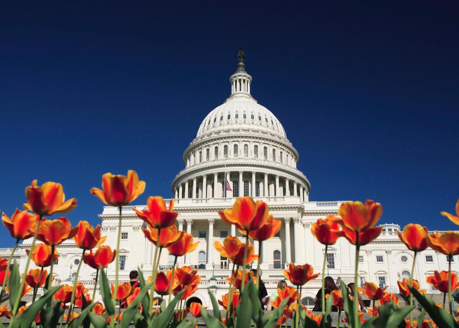 Kimpton Hotel Monaco Washington DC by IHG photo 21