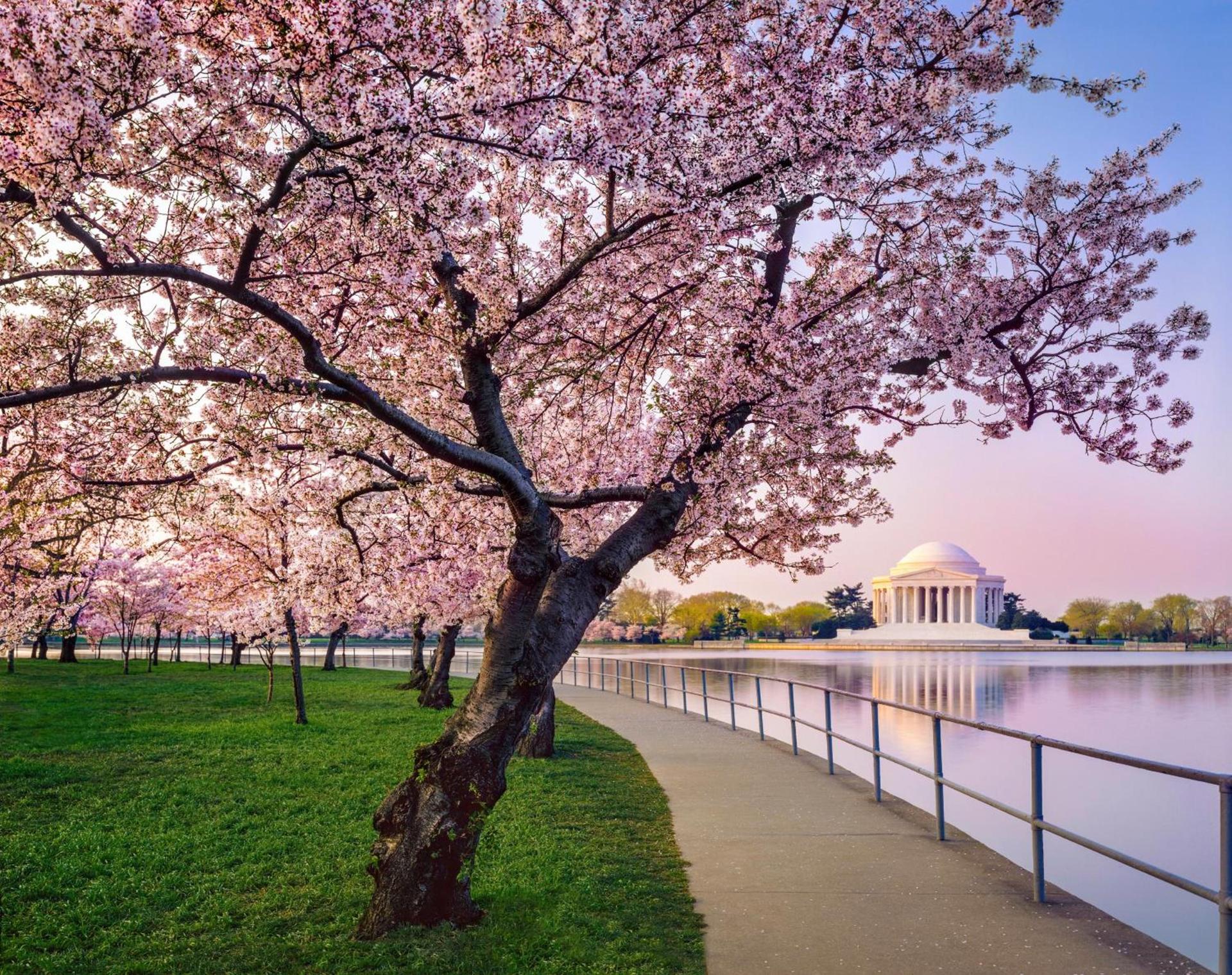 Kimpton Hotel Monaco Washington DC by IHG photo 23