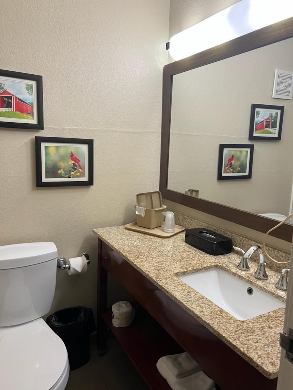 Comfort Inn Near Kokomo Speedway photo 49