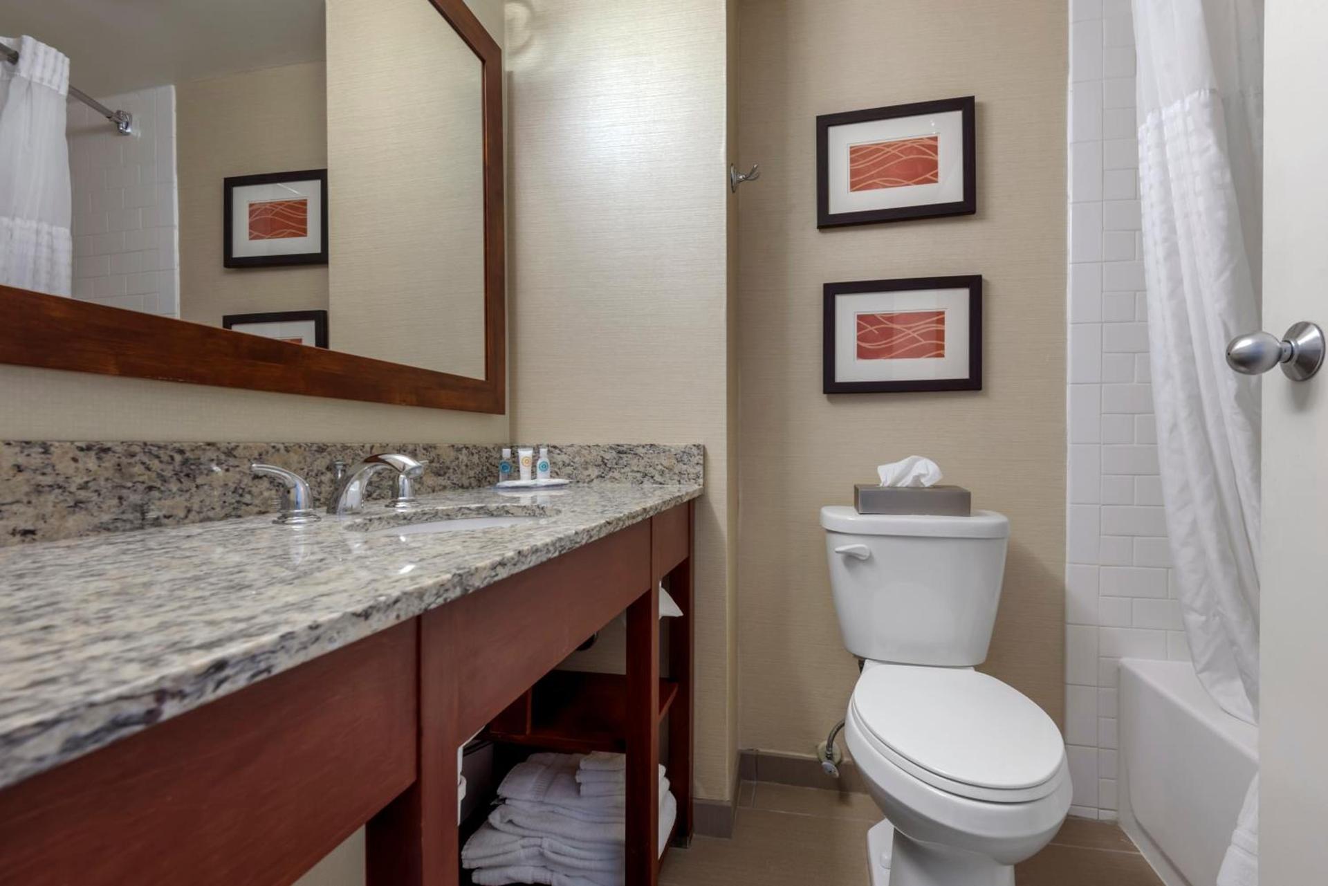 Comfort Inn The Pointe photo 69