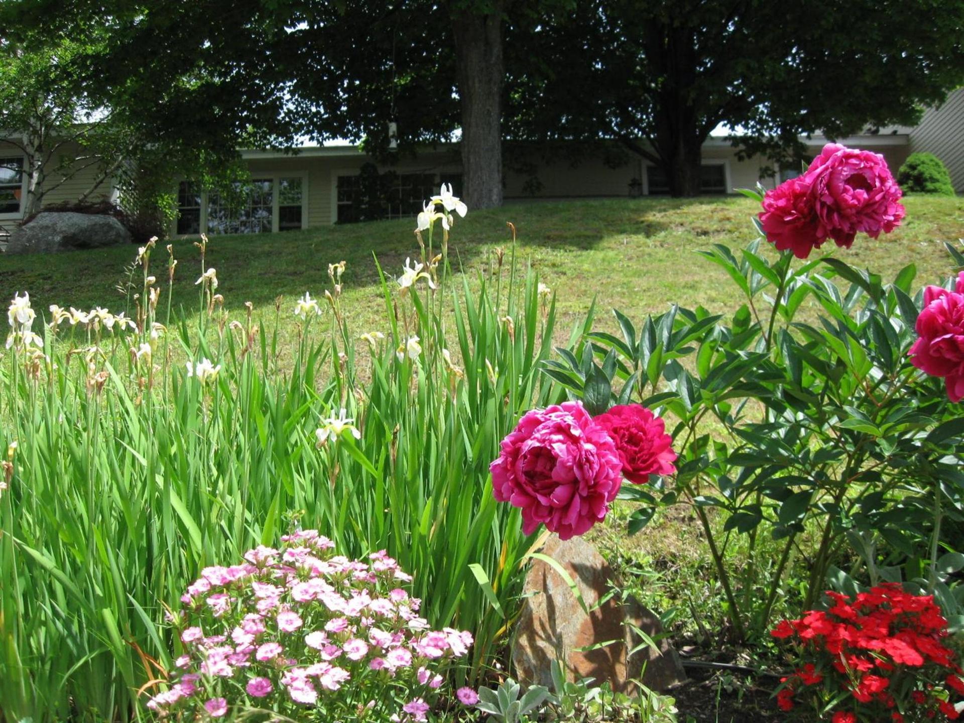 Deerhill Inn photo 9