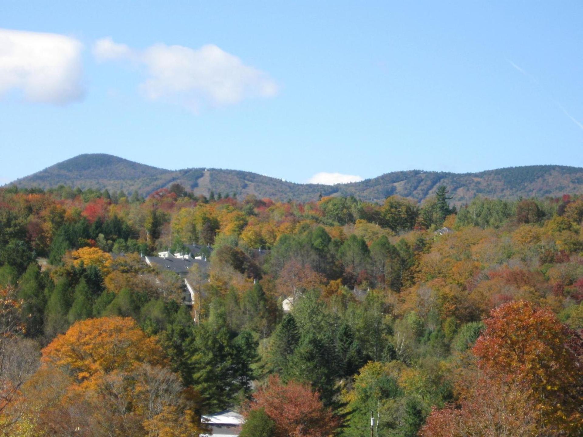 Deerhill Inn photo 18