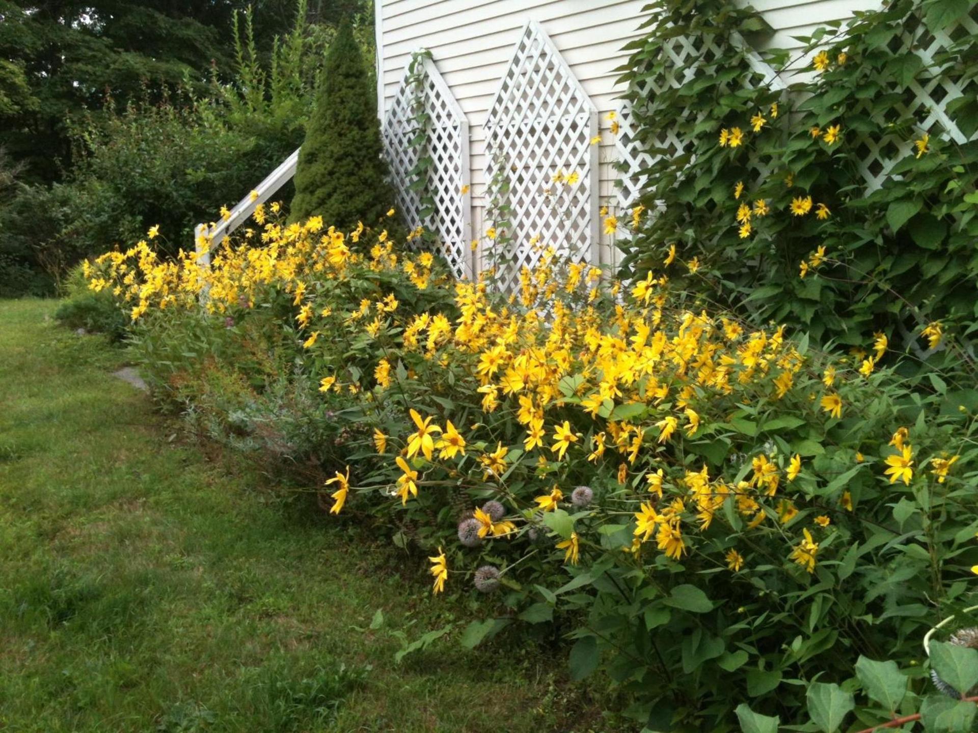 Deerhill Inn photo 20