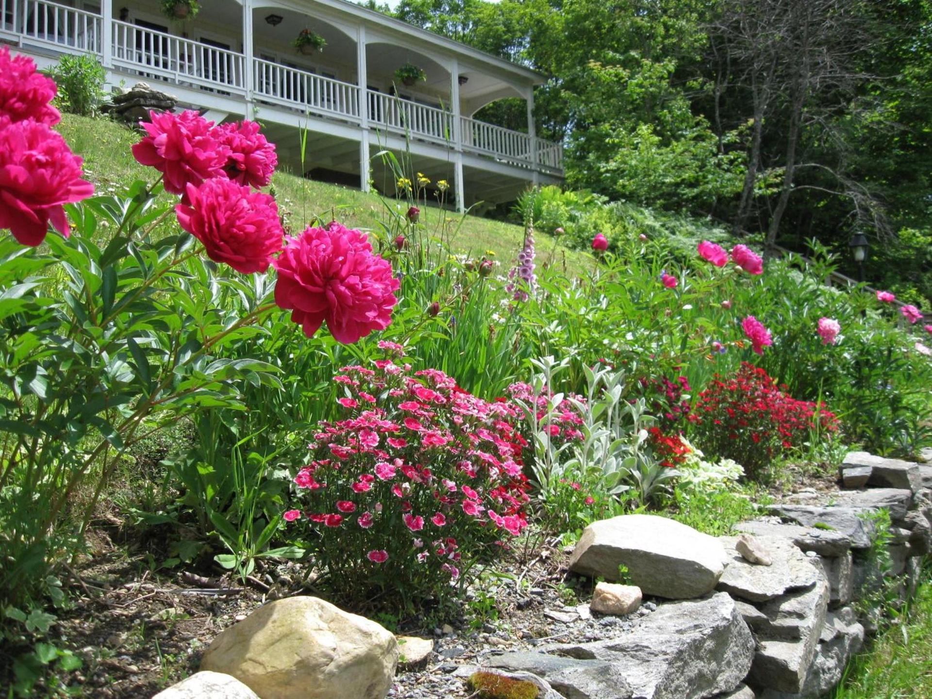 Deerhill Inn photo 22