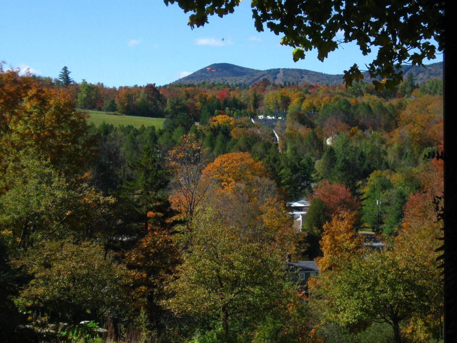 Deerhill Inn photo 27