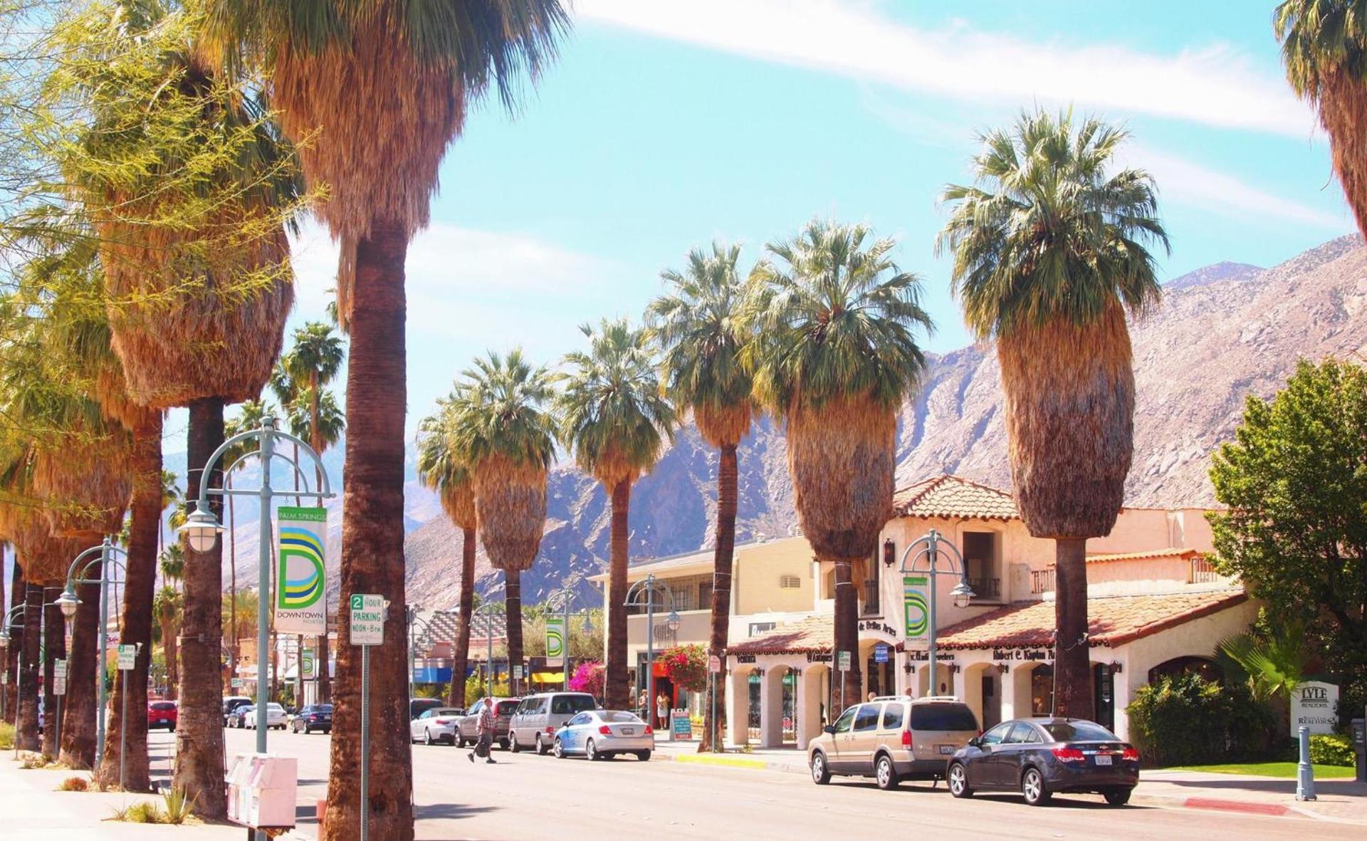 Kimpton Rowan Palm Springs Hotel by IHG photo 11