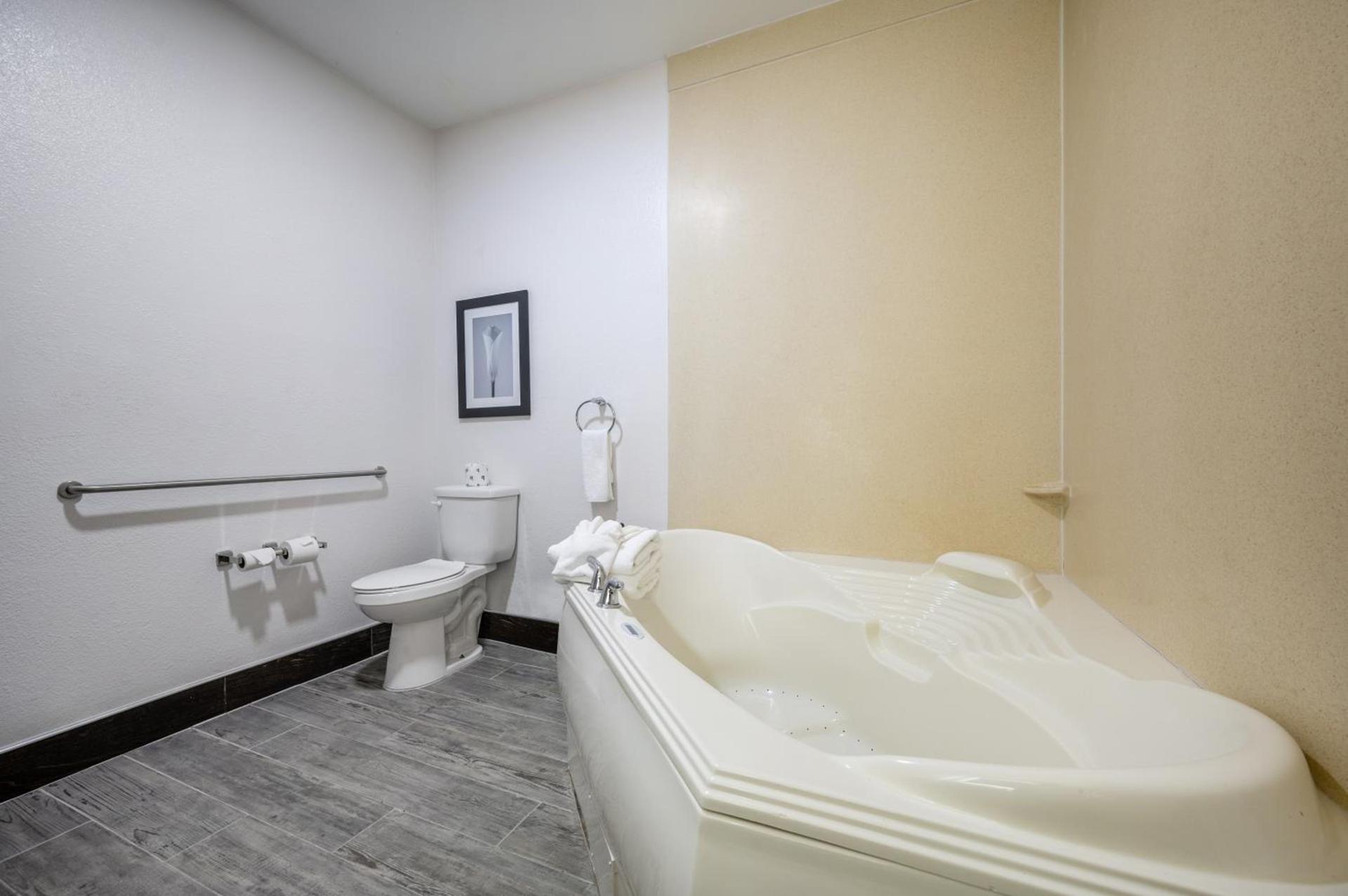 The Leo Collection Detroit, an Ascend Collection Hotel photo 99