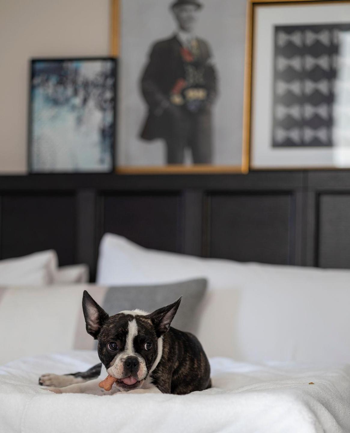 The Clift Royal Sonesta San Francisco photo 88