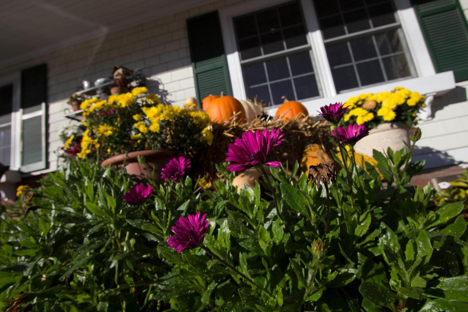 Golden Gables Inn Dazzler Select by Wyndham photo 21
